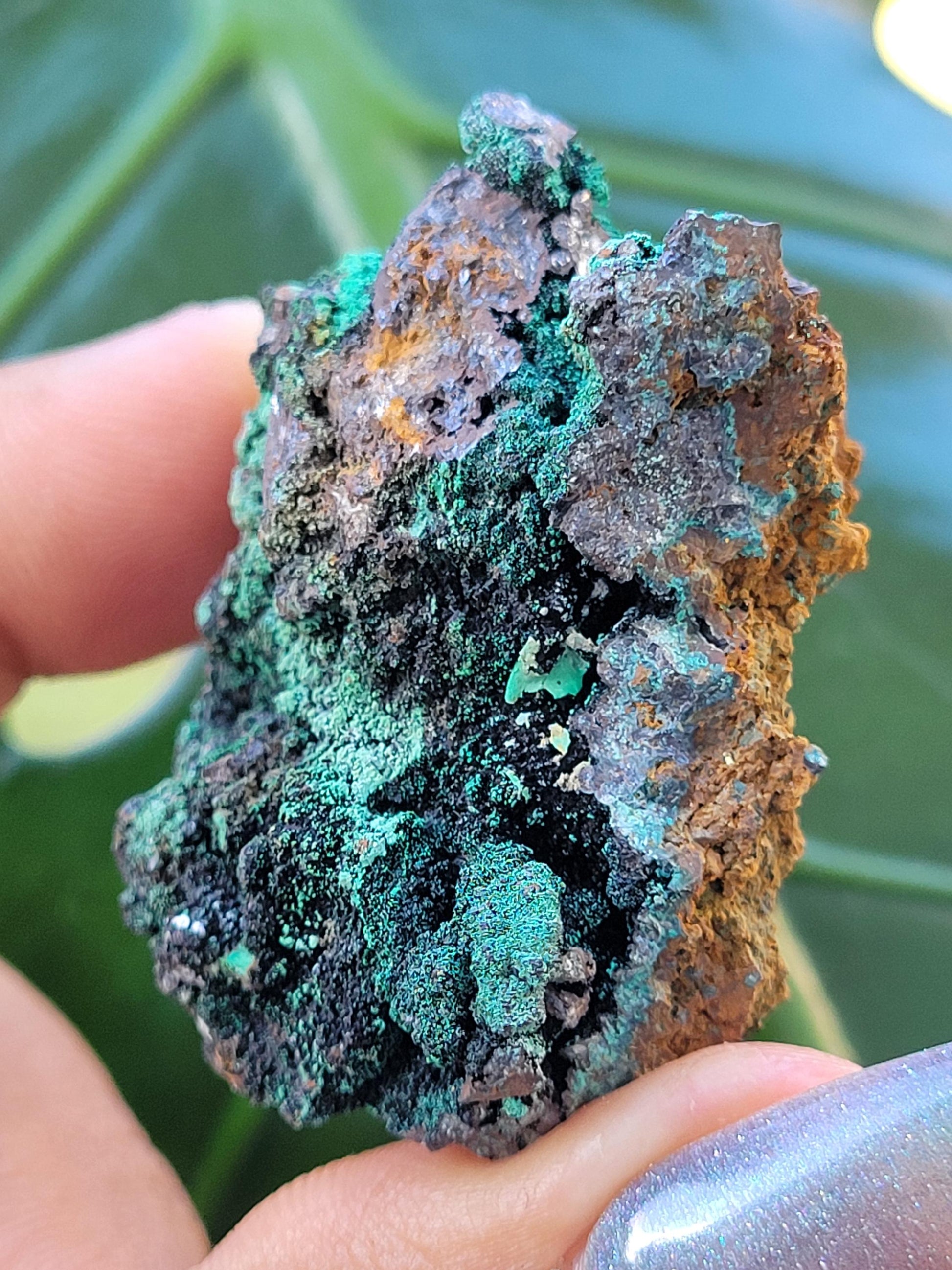 Malachite, Heterogenite and Galena Specimen in Display Case | Crystal Collector | Birthday Christmas Gift Ideas | Green Black Silver | 84g