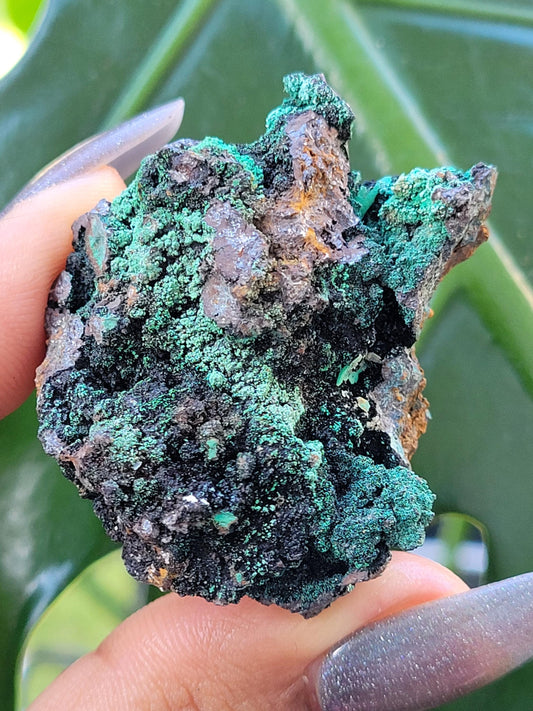 Malachite, Heterogenite and Galena Specimen in Display Case | Crystal Collector | Birthday Christmas Gift Ideas | Green Black Silver | 84g