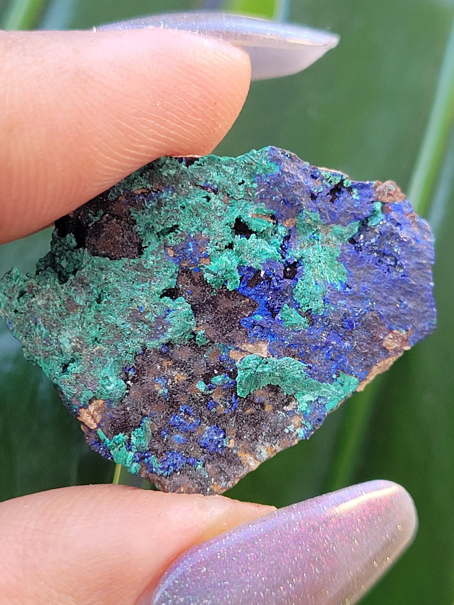 Fibrous Malachite and Azurite Specimen in Display Case-Collector Birthday Christmas Gift Ideas-Strength and Abundance Energy-Green-31g