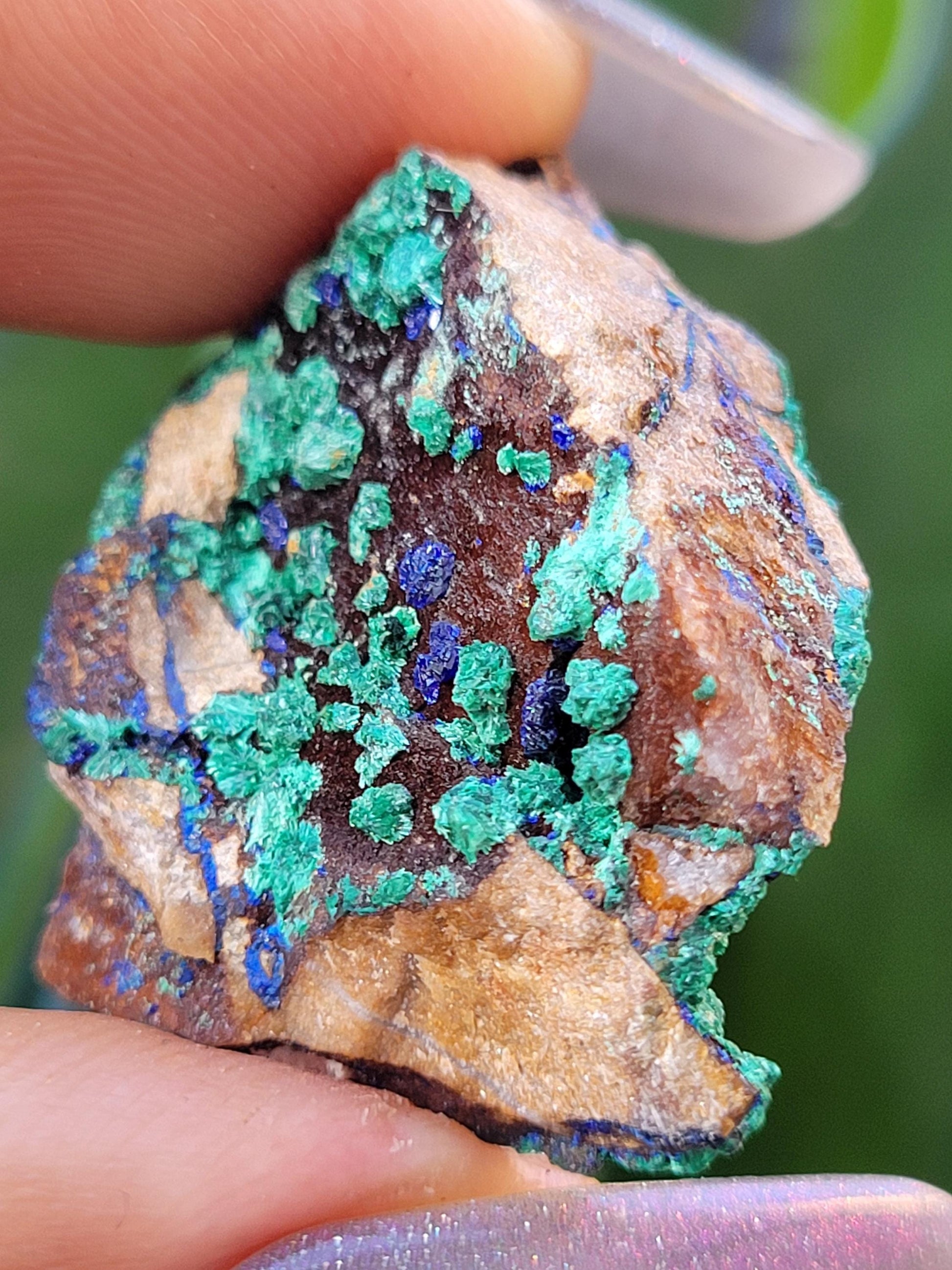 Fibrous Malachite and Azurite Specimen in Display Case-Collector Birthday Christmas Gift Ideas-Strength and Abundance Energy-Green-31g