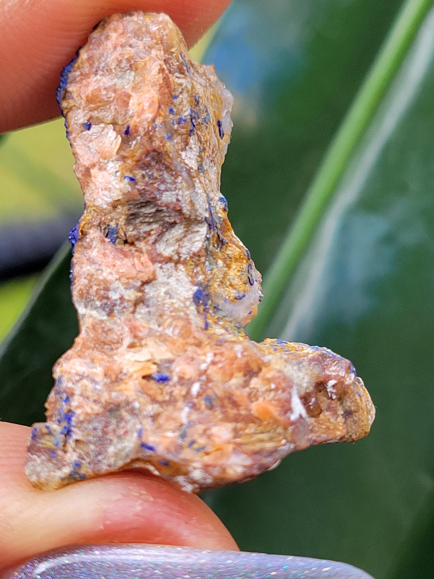 Malachite and Azurite Specimen in Display Case-Collector Birthday Christmas Gift Ideas-Strength and Abundance Energy-Green-30g