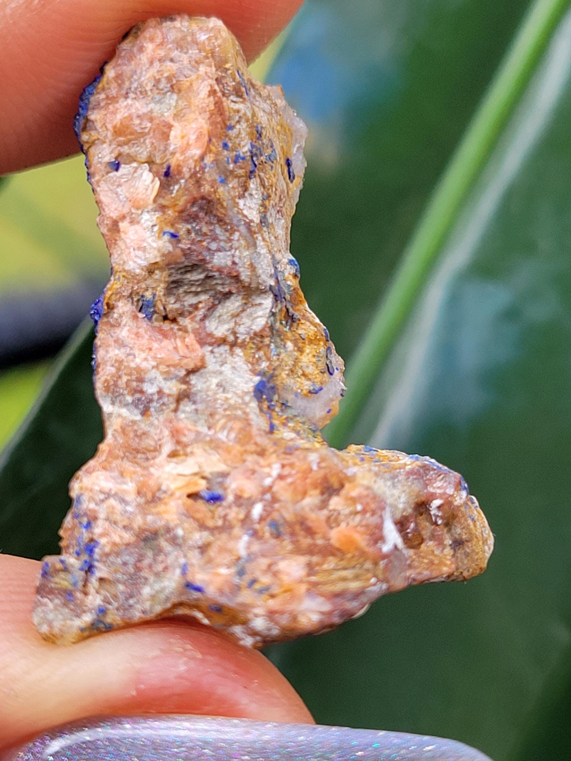 Malachite and Azurite Specimen in Display Case-Collector Birthday Christmas Gift Ideas-Strength and Abundance Energy-Green-30g