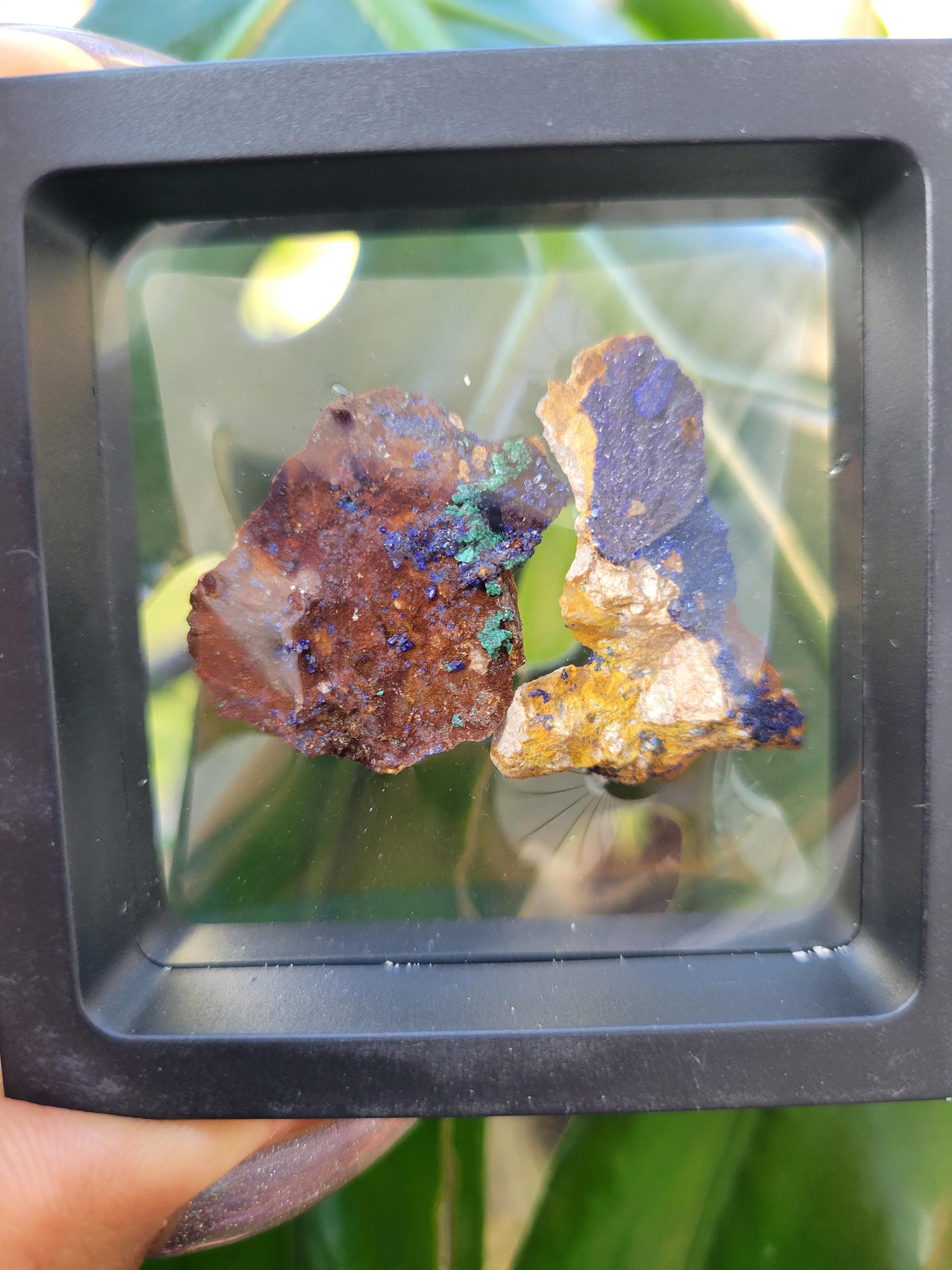 Malachite and Azurite Specimen in Display Case-Collector Birthday Christmas Gift Ideas-Strength and Abundance Energy-Green-30g
