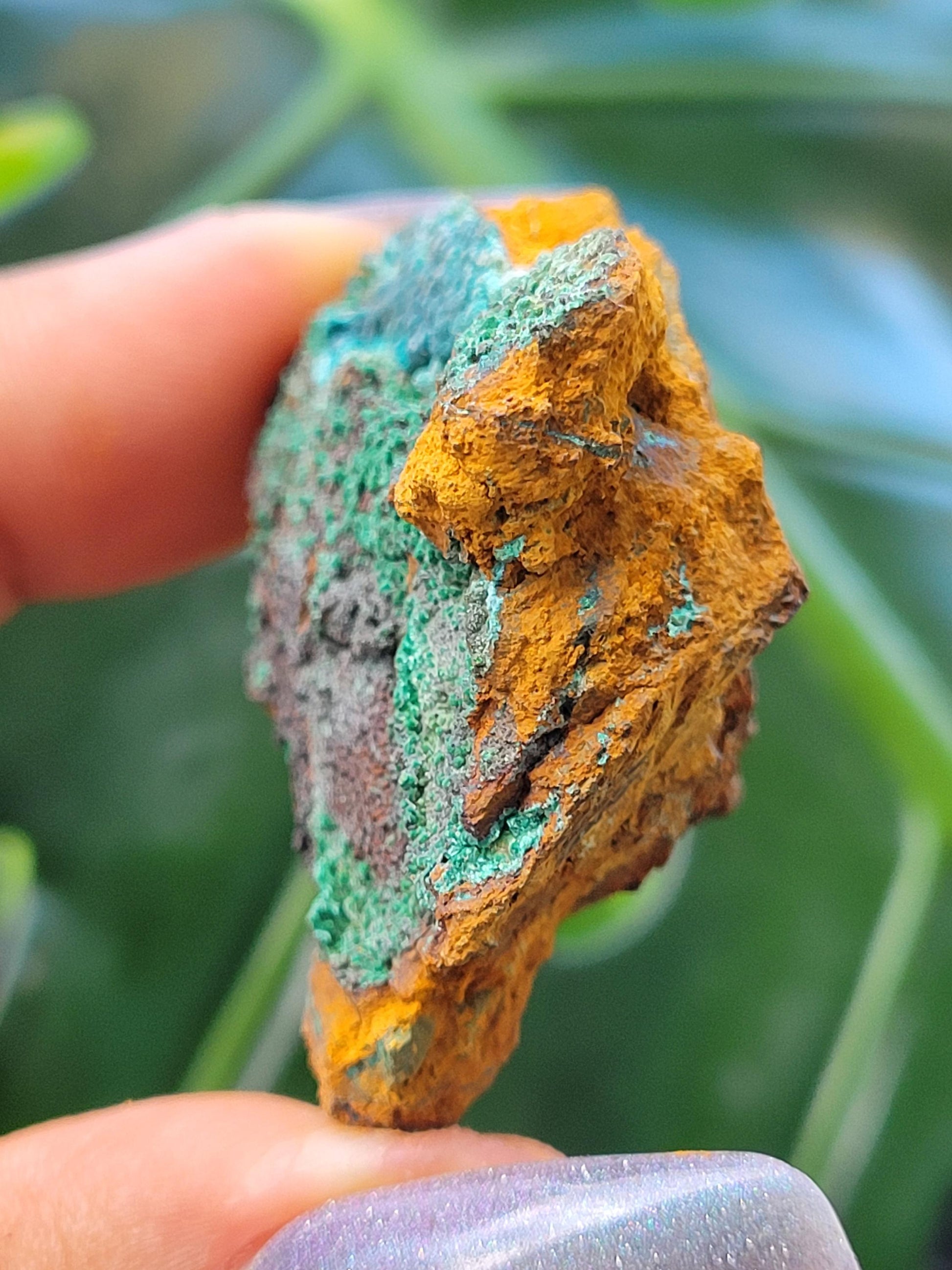 Botryoidal Malachite & Chrysocolla Raw Crystal Specimen in Display Case | Crystal Collector | Home Decor | Blue and Green | 60g