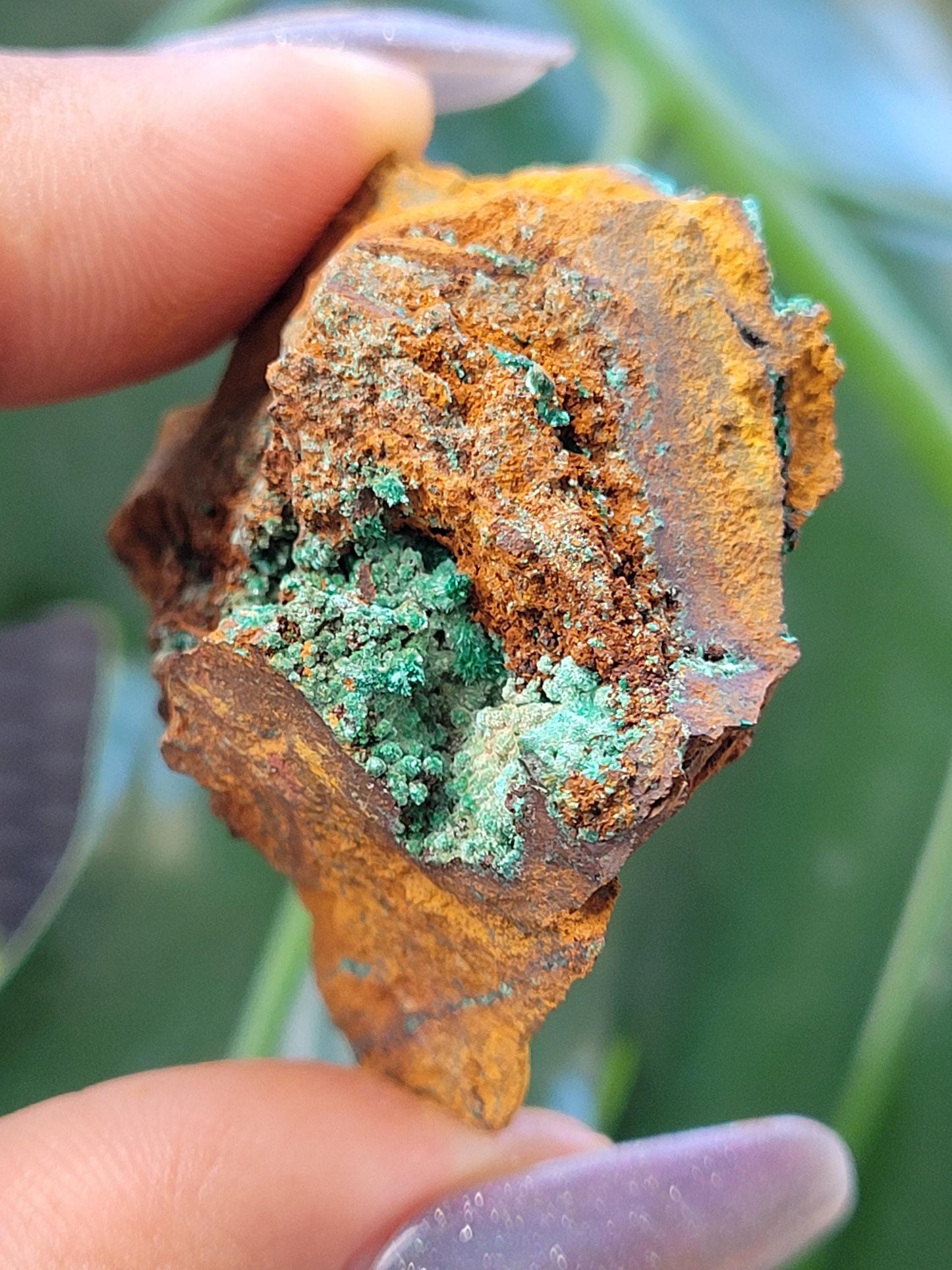 Botryoidal Malachite & Chrysocolla Raw Crystal Specimen in Display Case | Crystal Collector | Home Decor | Blue and Green | 60g