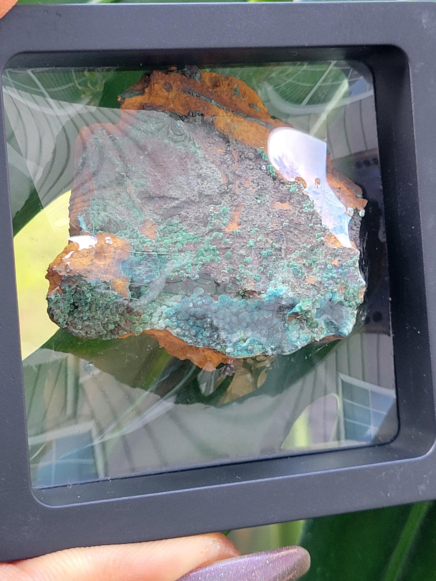 Botryoidal Malachite & Chrysocolla Raw Crystal Specimen in Display Case | Crystal Collector | Home Decor | Blue and Green | 60g