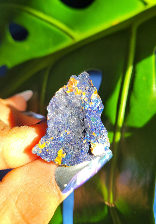 Azurite and Malachite Specimen in Display Case-Collector Birthday Christmas Gift Ideas-Strength and Abundance Energy-Blue and Green-31g