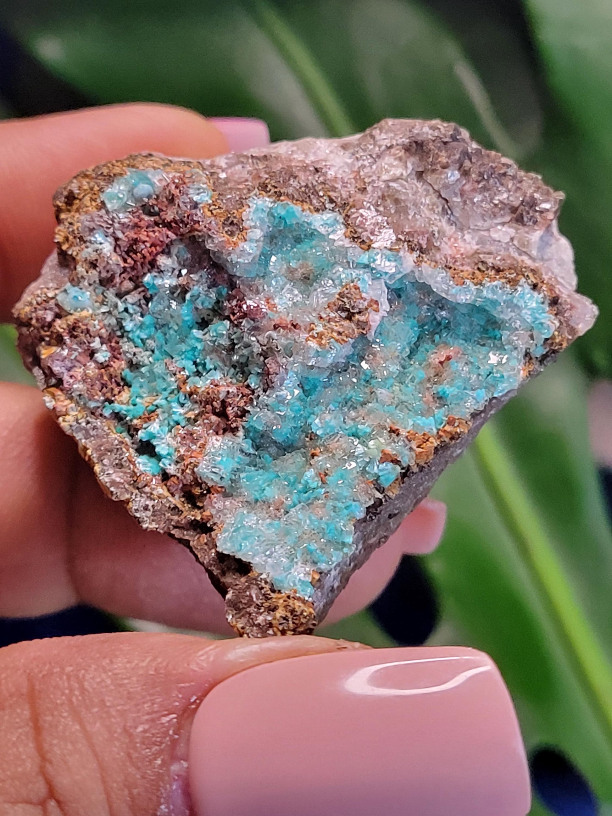 Crystalized Malachite Specimen in Display Case-Collector Birthday Christmas Gift Ideas-Strength and Abundance Energy-Green-57g