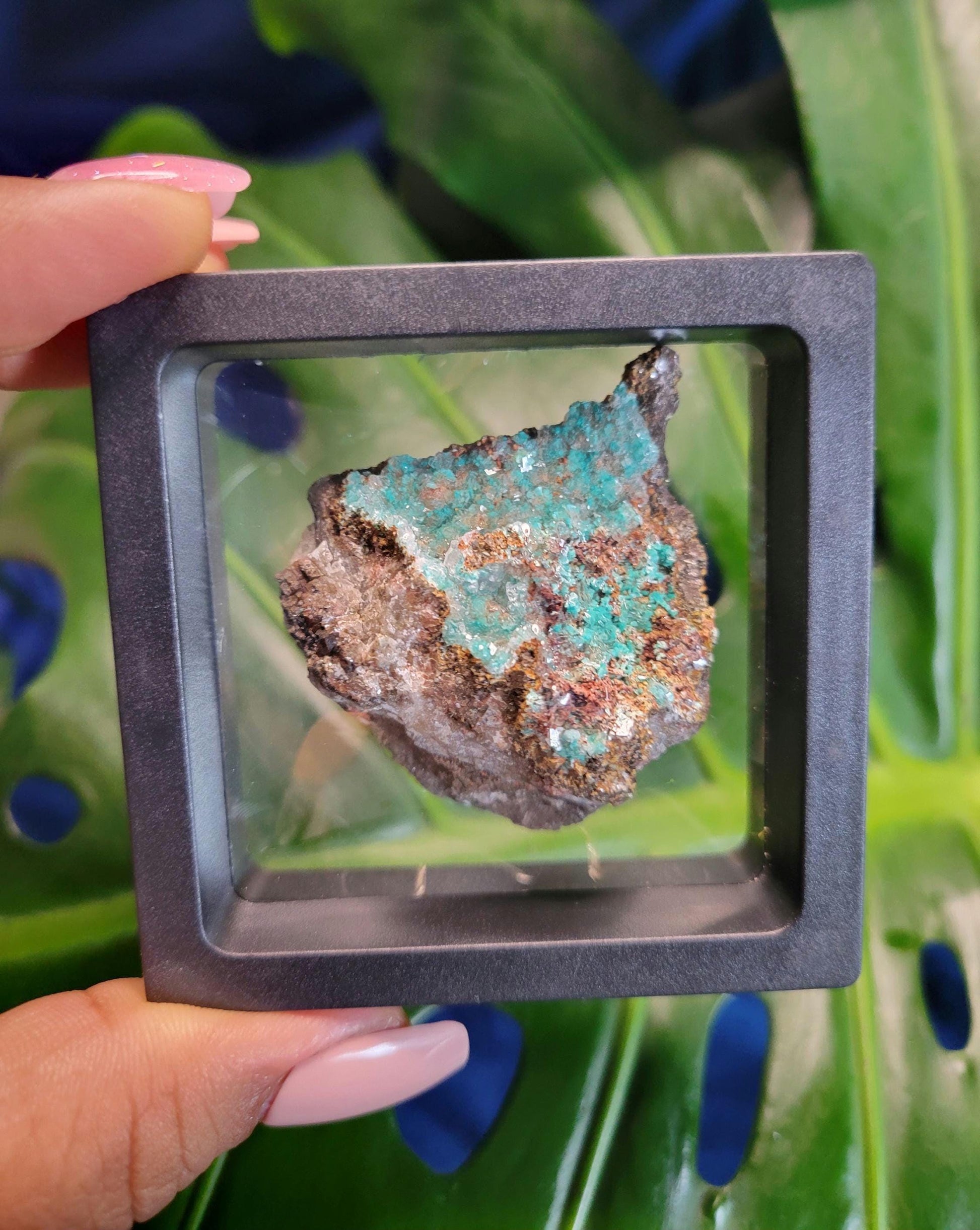 Crystalized Malachite Specimen in Display Case-Collector Birthday Christmas Gift Ideas-Strength and Abundance Energy-Green-57g