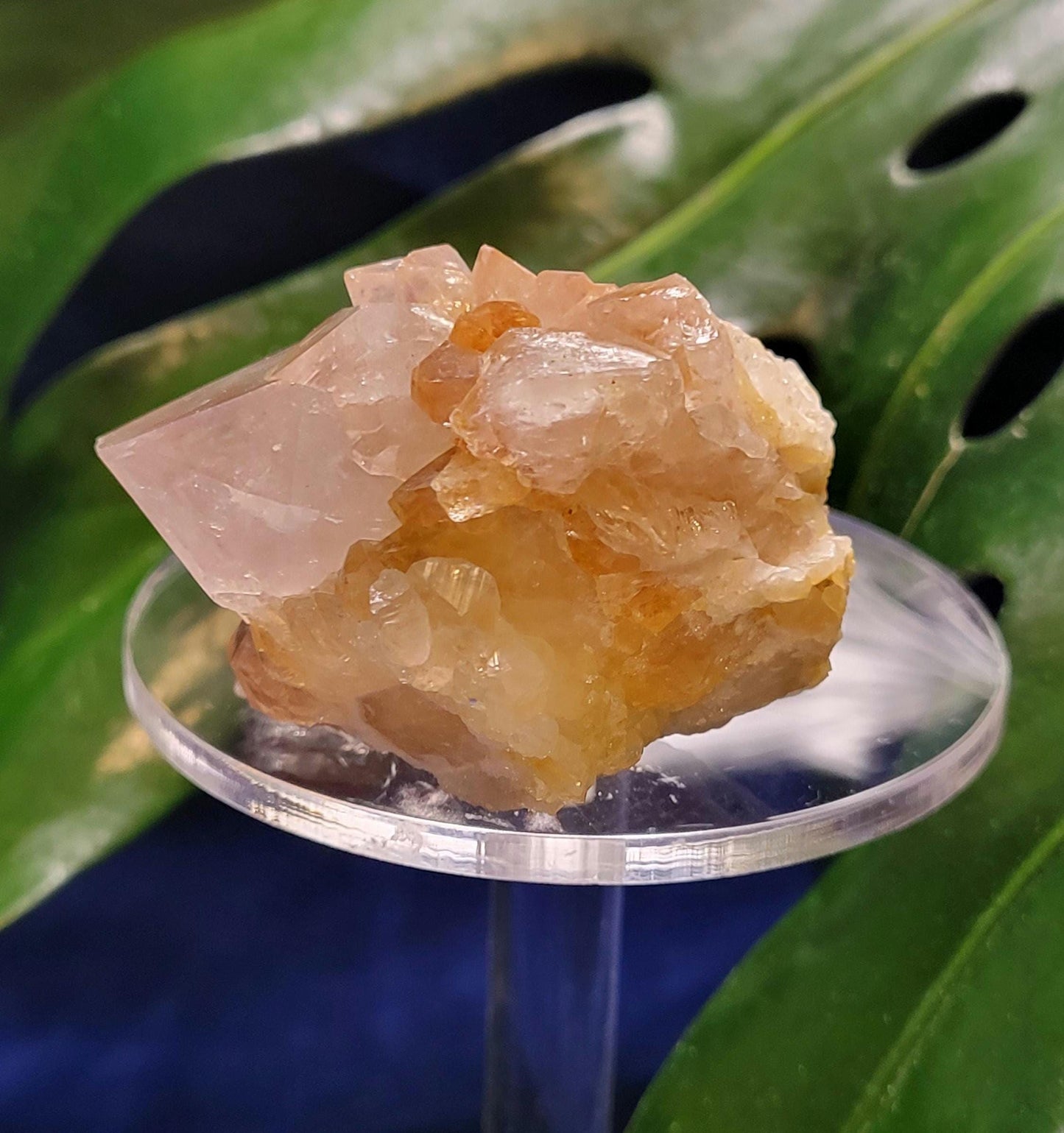 Stunning Spirit Quartz Cluster from South Africa - Crown Chakra Meditation - Birthday Collectors Christmas Party Gift Ideas - Lavender - 86g