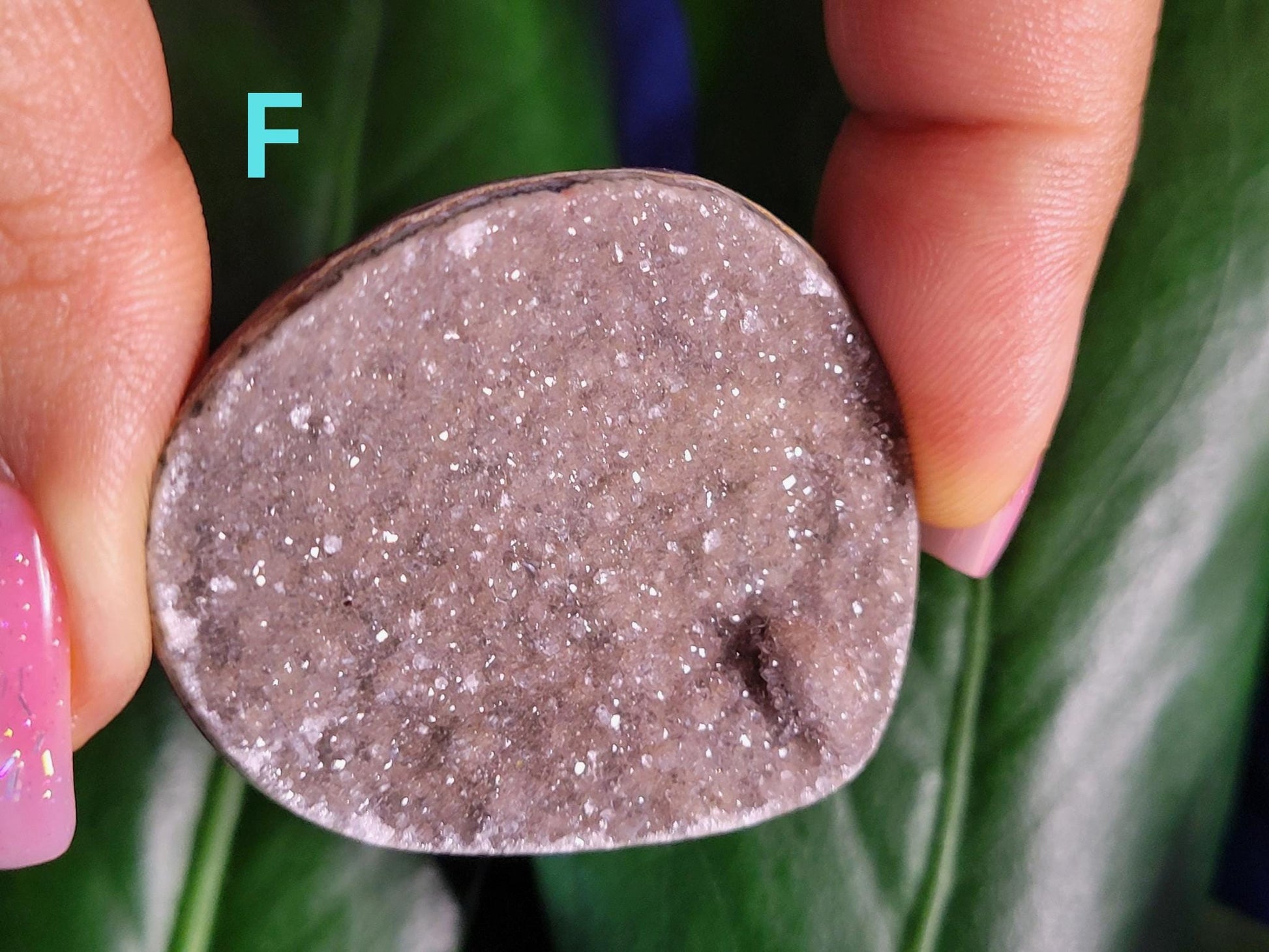 High Quality Galaxy Amethyst Shells with polished backs from Uruguay - Home Decor - Crystal Collector - Gift Ideas - Your Pick