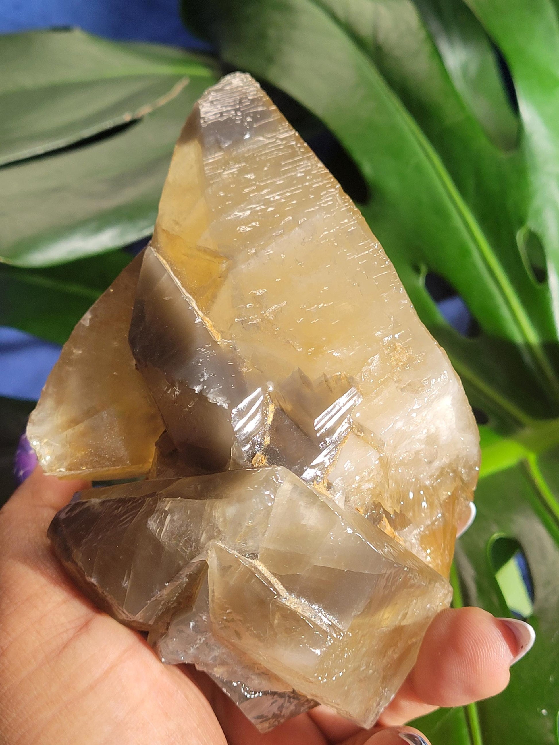 Dogtooth Calcite | Stunning Raw Specimen | Crystal Collectors | Home Decor | Gift | Gold & Gray | Solar Plexus Chakra | 737g / 1.6lbs