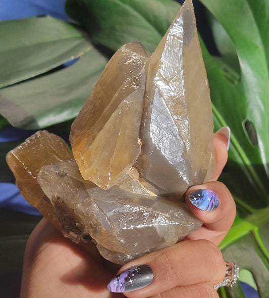 Dogtooth Calcite | Stunning Raw Specimen | Crystal Collectors | Home Decor | Gift | Gold & Gray | Solar Plexus Chakra | 737g / 1.6lbs