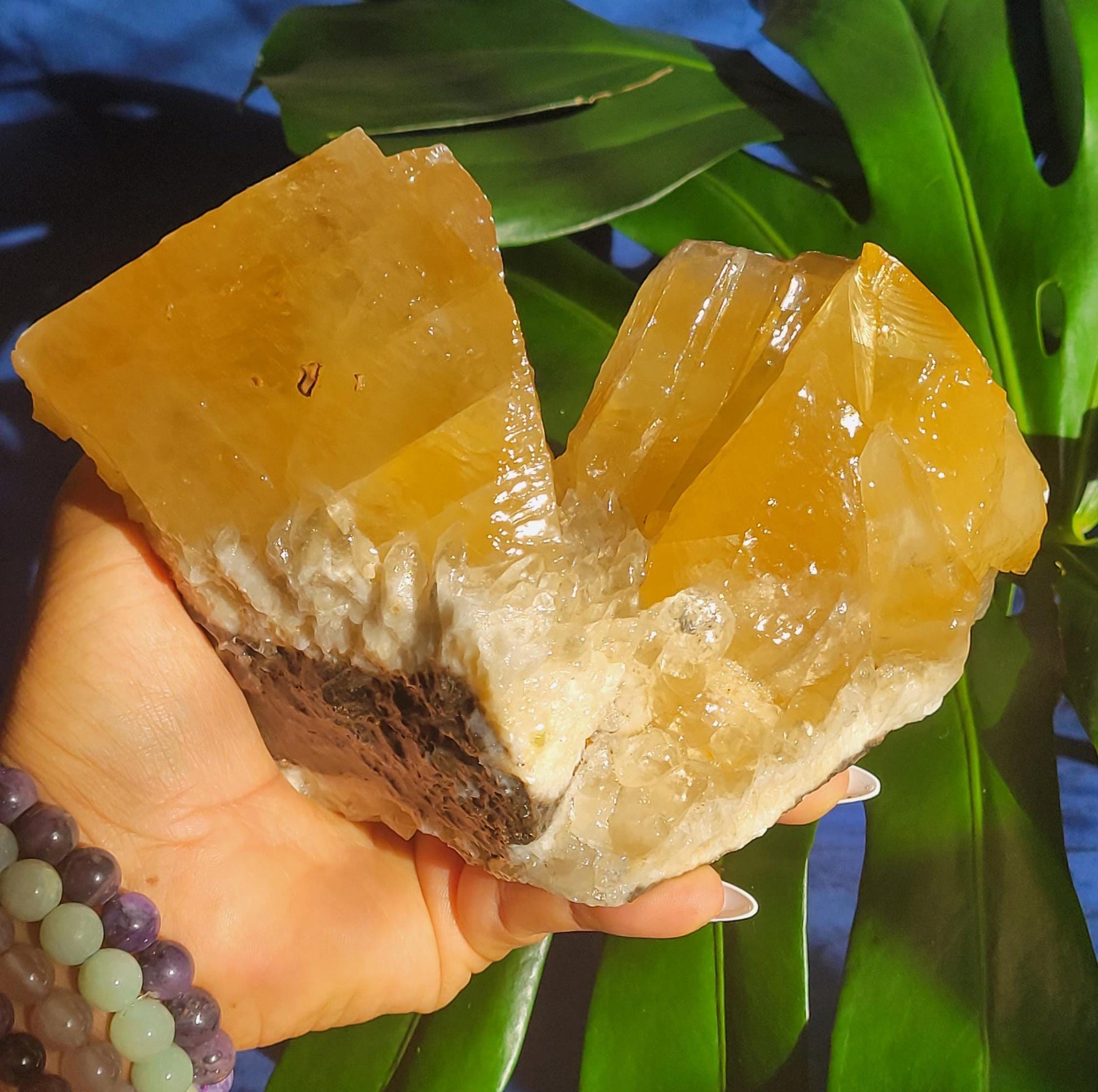 Stunning and Unique Dogtooth Calcite Specimen from Morocco - Crystal Collectors piece - Home Decor - Gift idea - Gorgeously Golden - 3.3lbs
