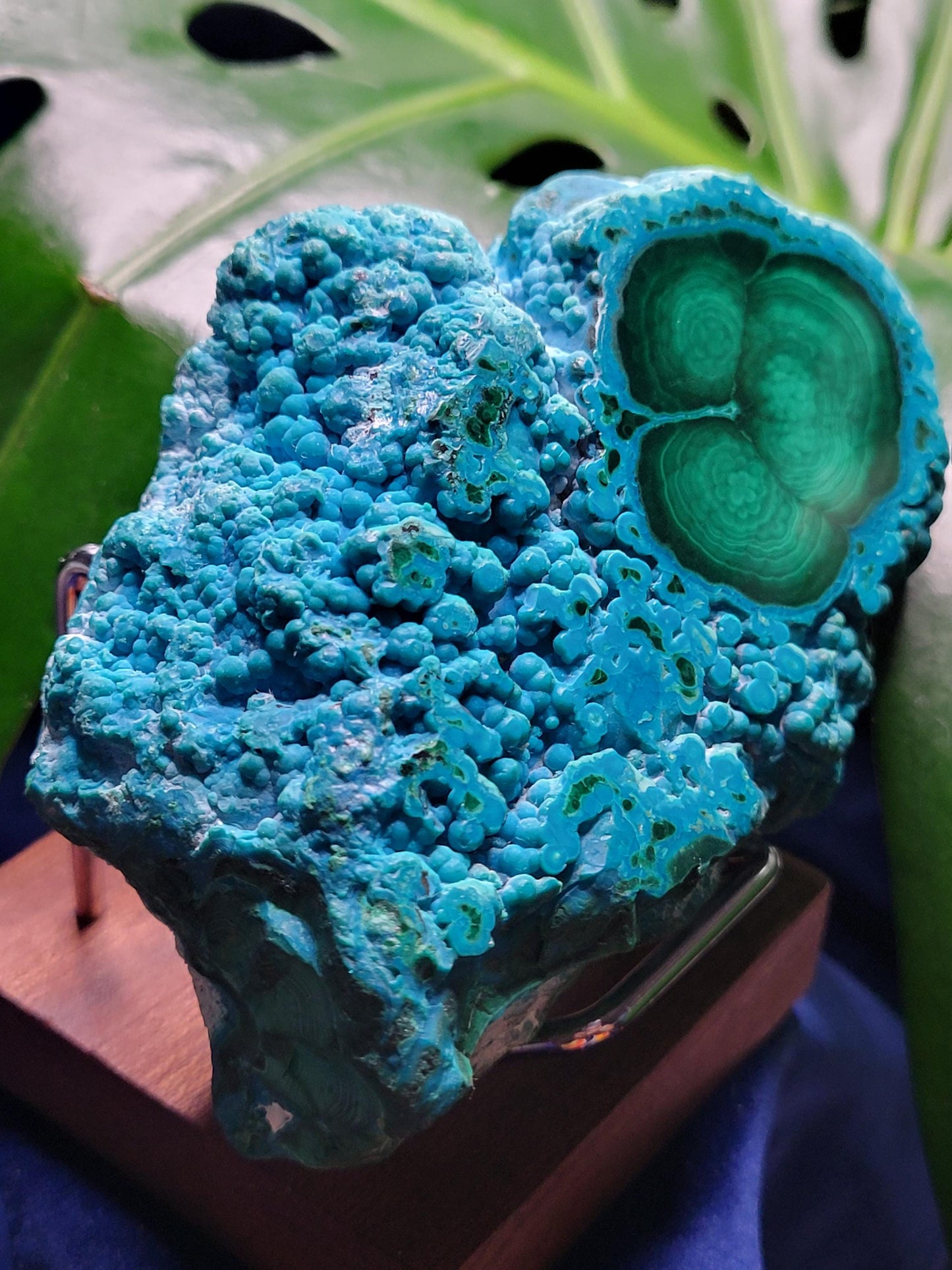 Malachite and Chrysocolla Specimen| Crystal Collector Piece|Birthday Christmas Gift Ideas|Strength and Abundance Energy|Green and Blue| 392g