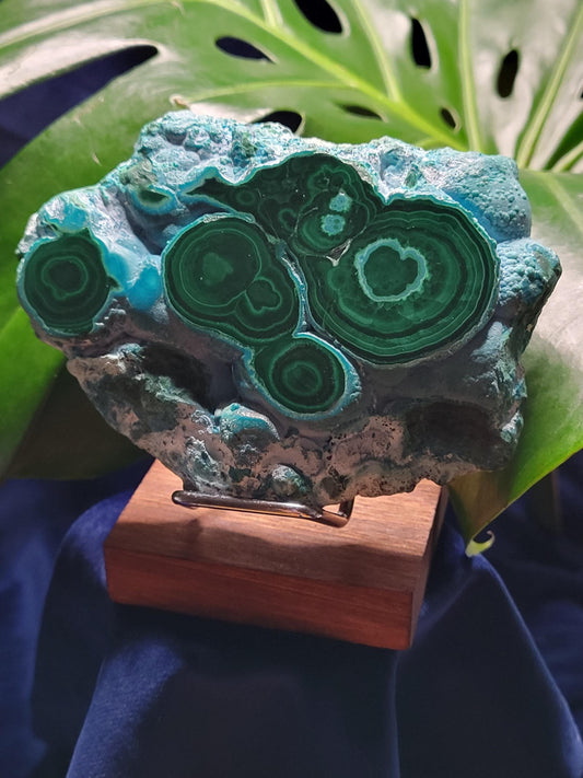 Malachite and Chrysocolla Specimen| Crystal Collector Piece|Birthday Christmas Gift Ideas|Strength and Abundance Energy|Green and Blue|419g