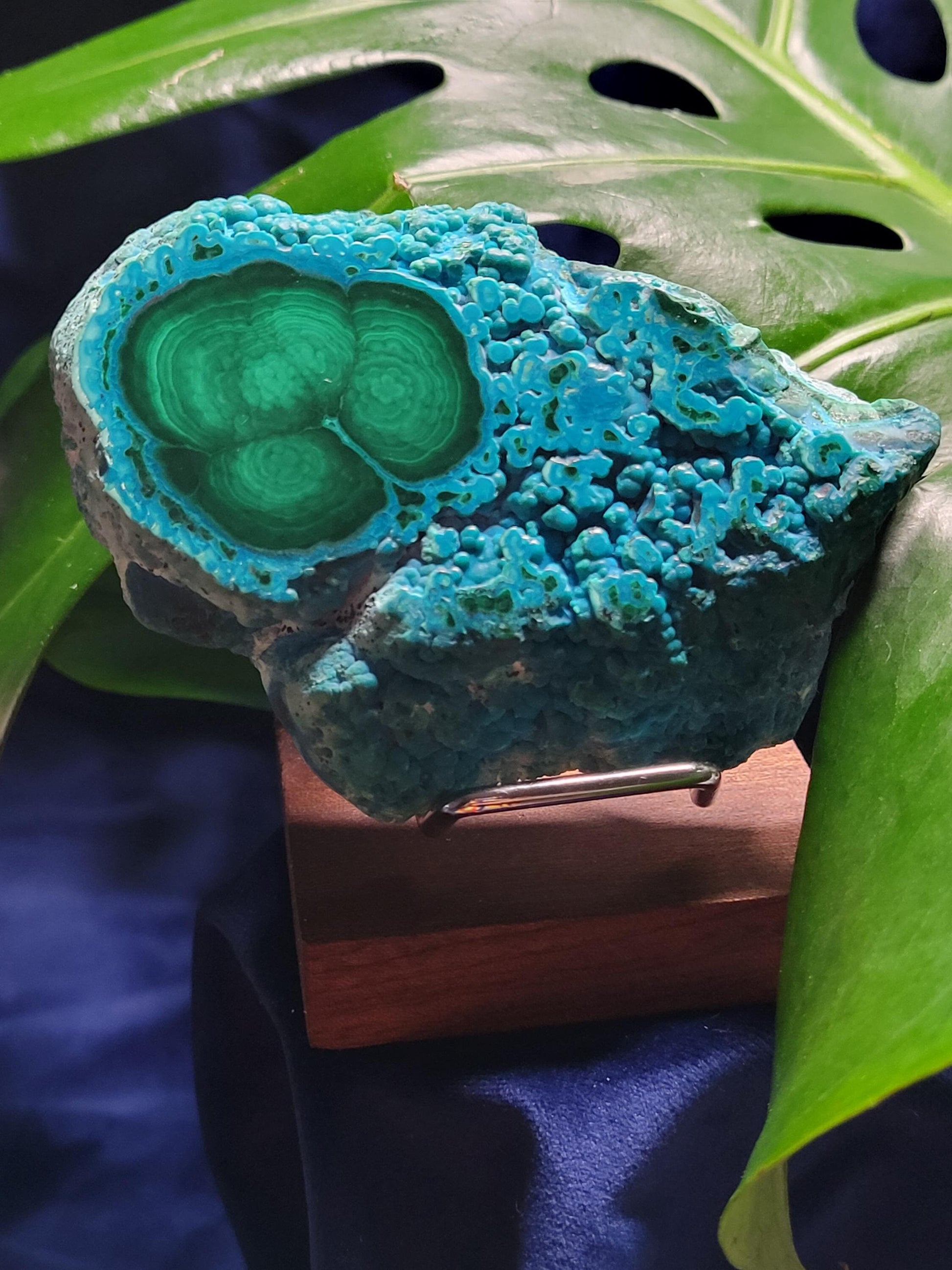Malachite and Chrysocolla Specimen| Crystal Collector Piece|Birthday Christmas Gift Ideas|Strength and Abundance Energy|Green and Blue| 392g