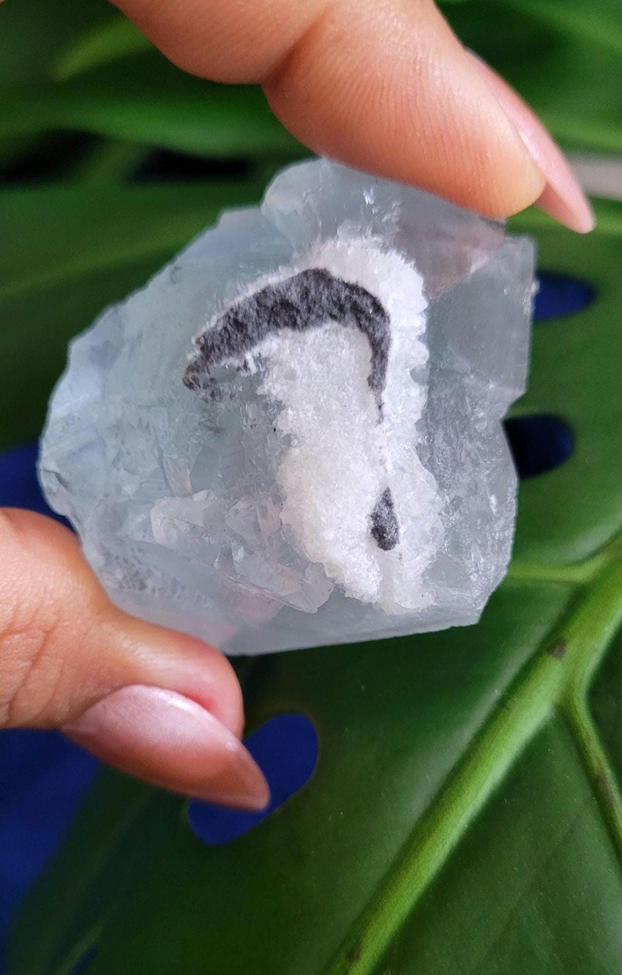 Beautiful Green and Blue Fluorite Cube | Crystal Collector | Home Decor | Gift Ideas for you | Genius Stone | High Grade Green Blue | 83g