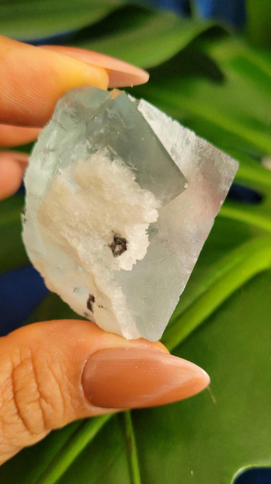 Beautiful Gemmy Blue Green Fluorite Cube | Crystal Collector | Home Decor | Gift Ideas for you | Genius Stone | High Grade Green Blue | 79g