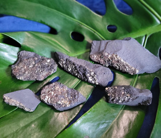 Raw Shungite with Pyrite from Russia|Your Pick|Crystal Collector|The Miracle Stone|Black and Gold|Gift ideas