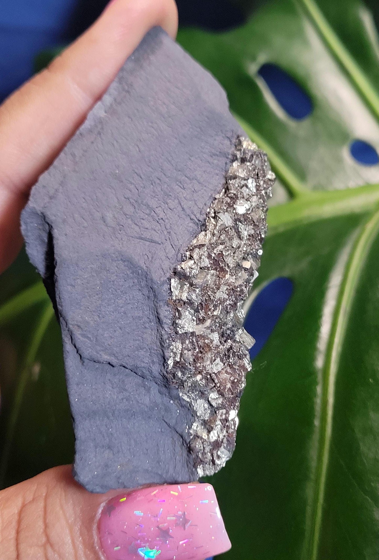 Raw Shungite with Pyrite from Russia|Your Pick|Crystal Collector|The Miracle Stone|Black and Gold|Gift ideas