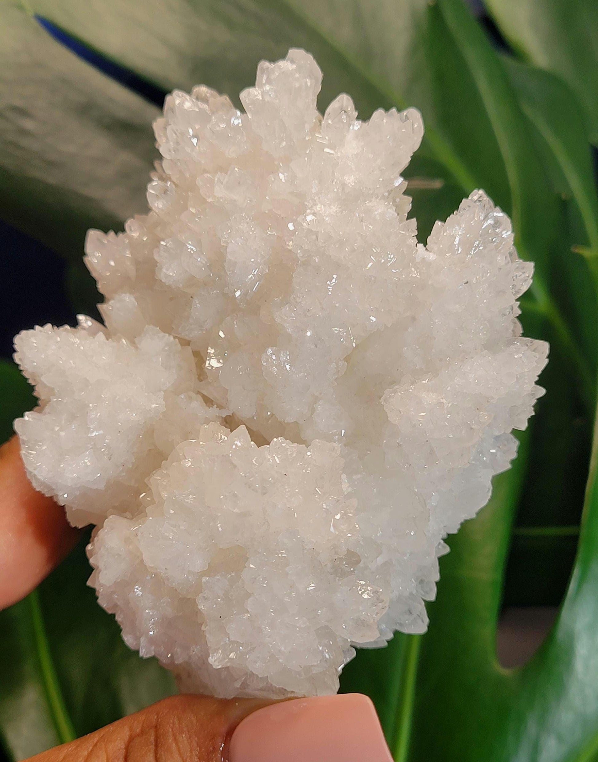Beautiful White Aragonite, Cave Calcite Specimen from Mexico - Natural Gemstone Cluster - Home Decor - Gift - 294 grams