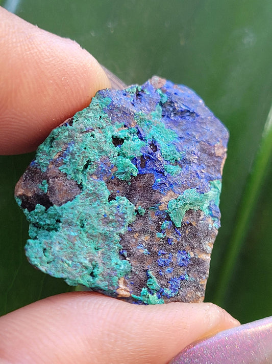 Fibrous Malachite and Azurite Specimen in Display Case-Collector Birthday Christmas Gift Ideas-Strength and Abundance Energy-Green-31g