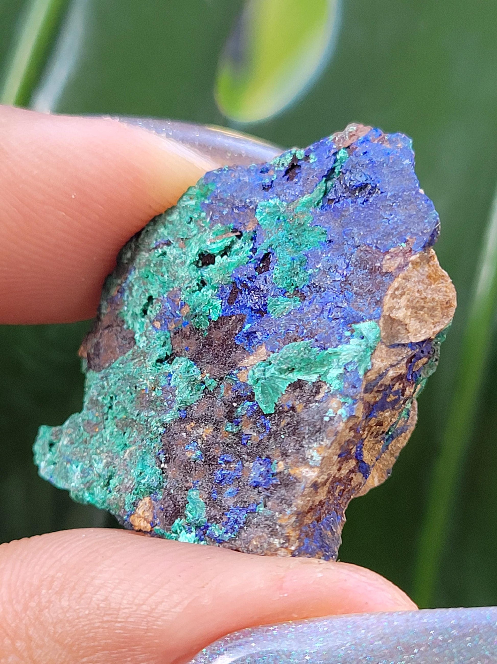 Fibrous Malachite and Azurite Specimen in Display Case-Collector Birthday Christmas Gift Ideas-Strength and Abundance Energy-Green-31g