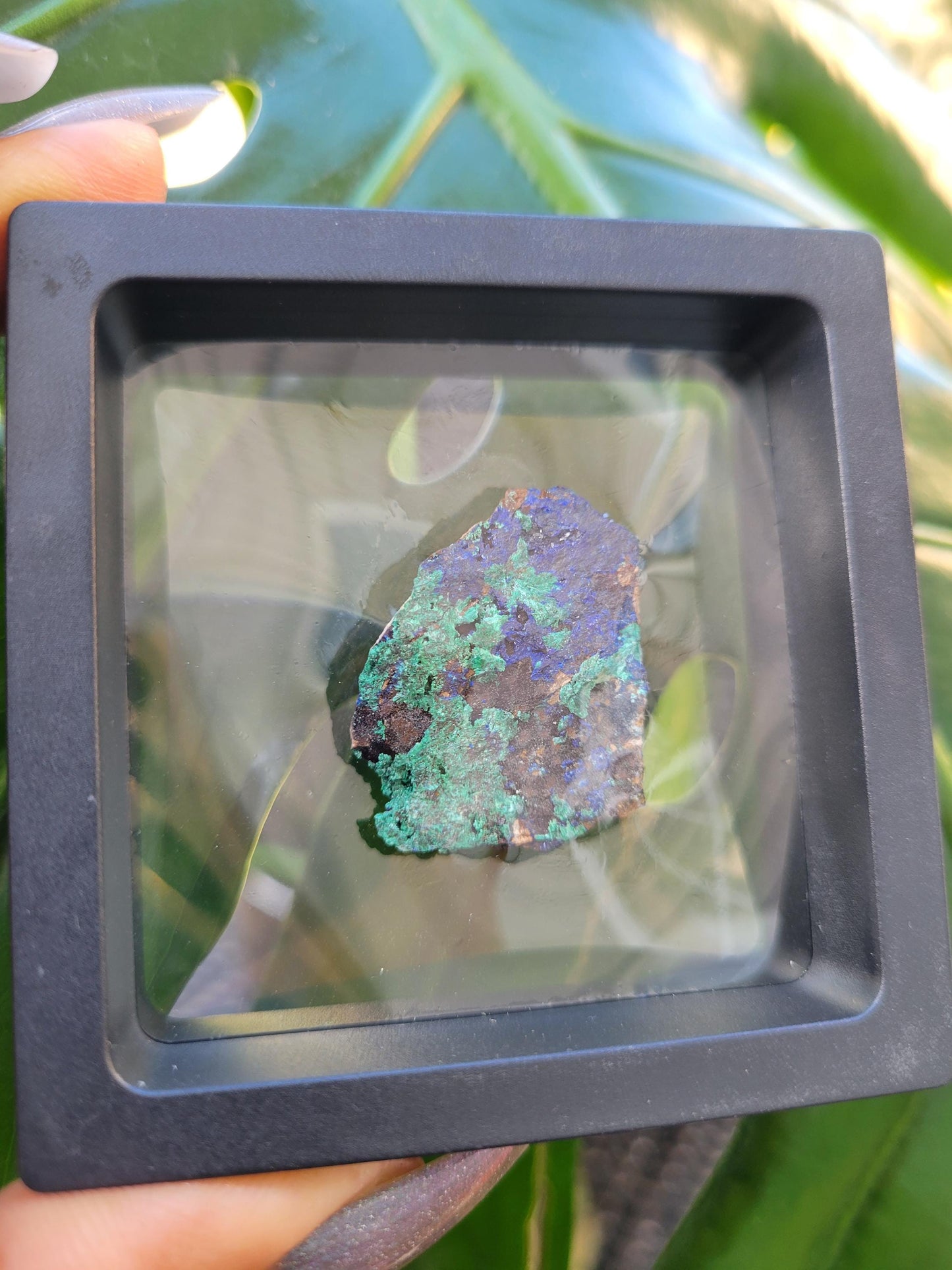 Fibrous Malachite and Azurite Specimen in Display Case-Collector Birthday Christmas Gift Ideas-Strength and Abundance Energy-Green-31g