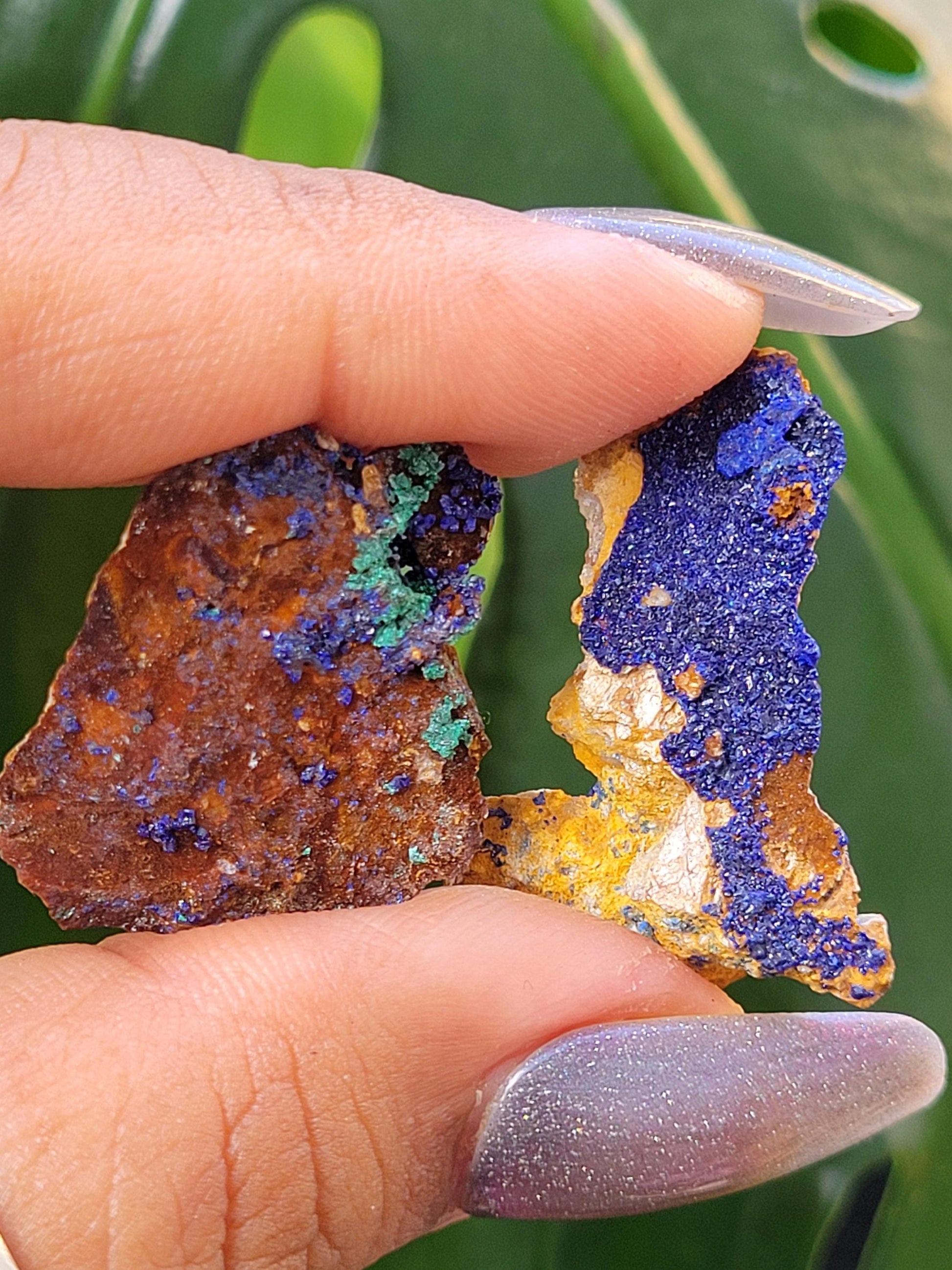 Malachite and Azurite Specimen in Display Case-Collector Birthday Christmas Gift Ideas-Strength and Abundance Energy-Green-30g