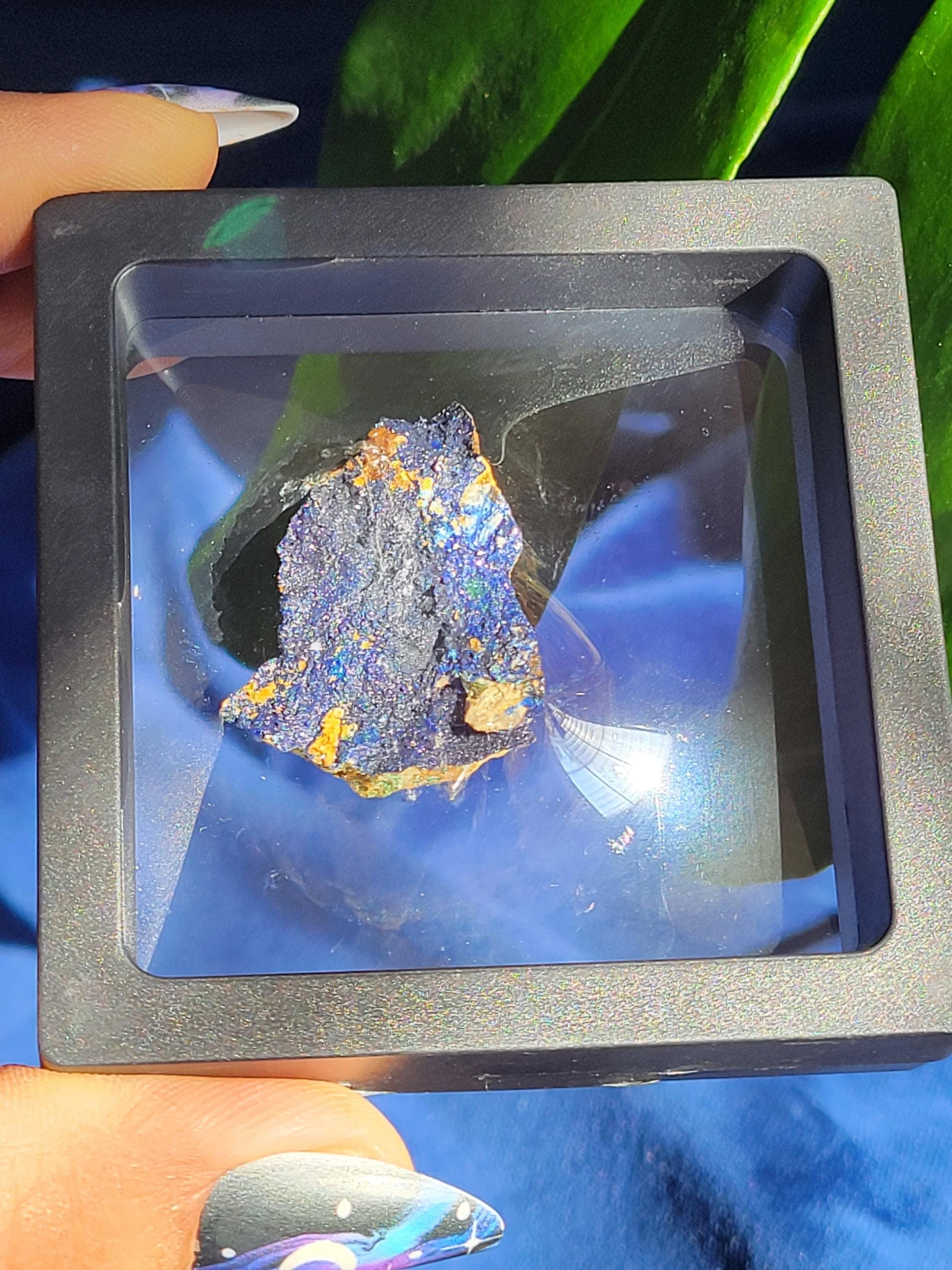 Azurite and Malachite Specimen in Display Case-Collector Birthday Christmas Gift Ideas-Strength and Abundance Energy-Blue and Green-31g