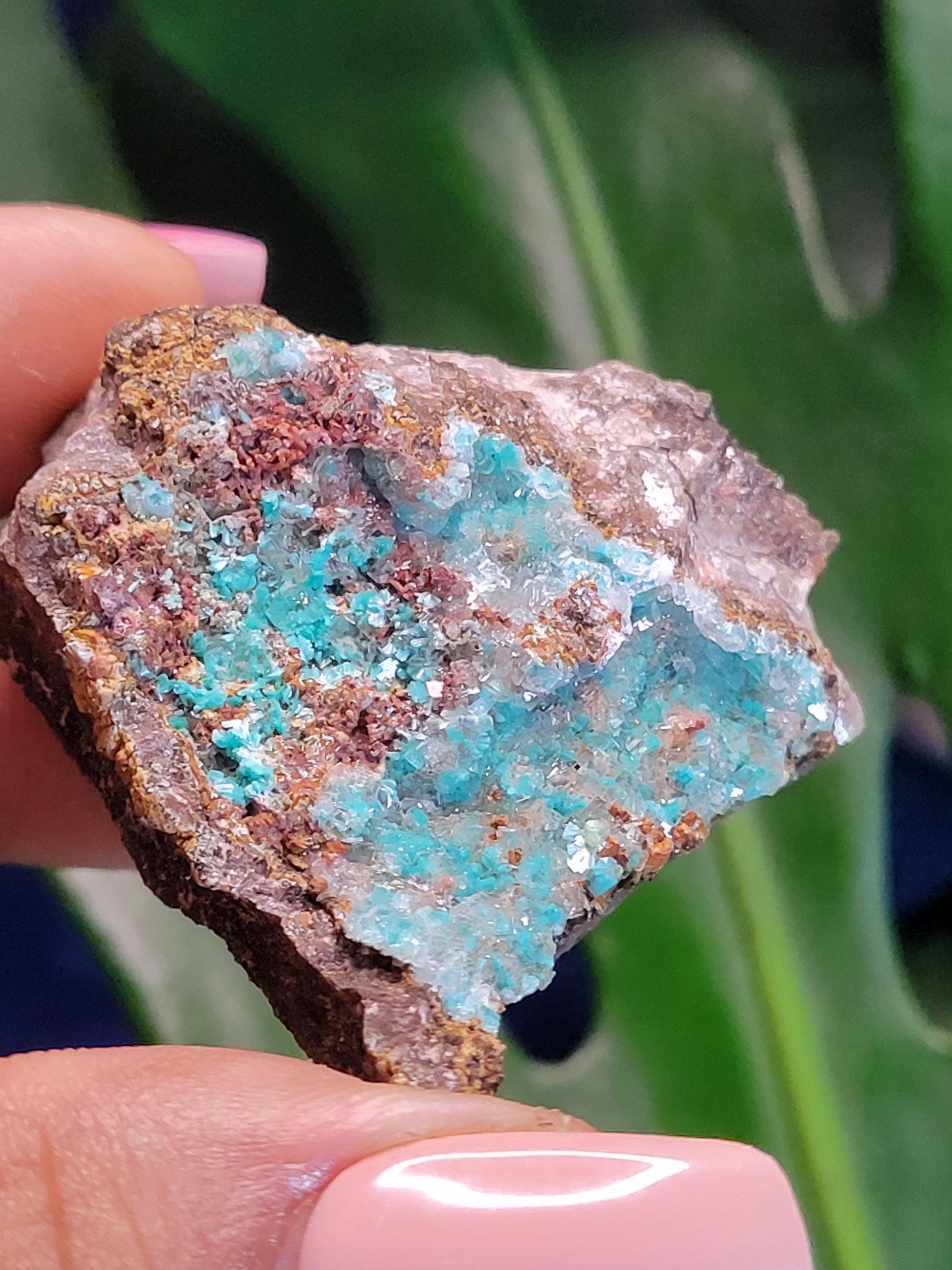 Crystalized Malachite Specimen in Display Case-Collector Birthday Christmas Gift Ideas-Strength and Abundance Energy-Green-57g