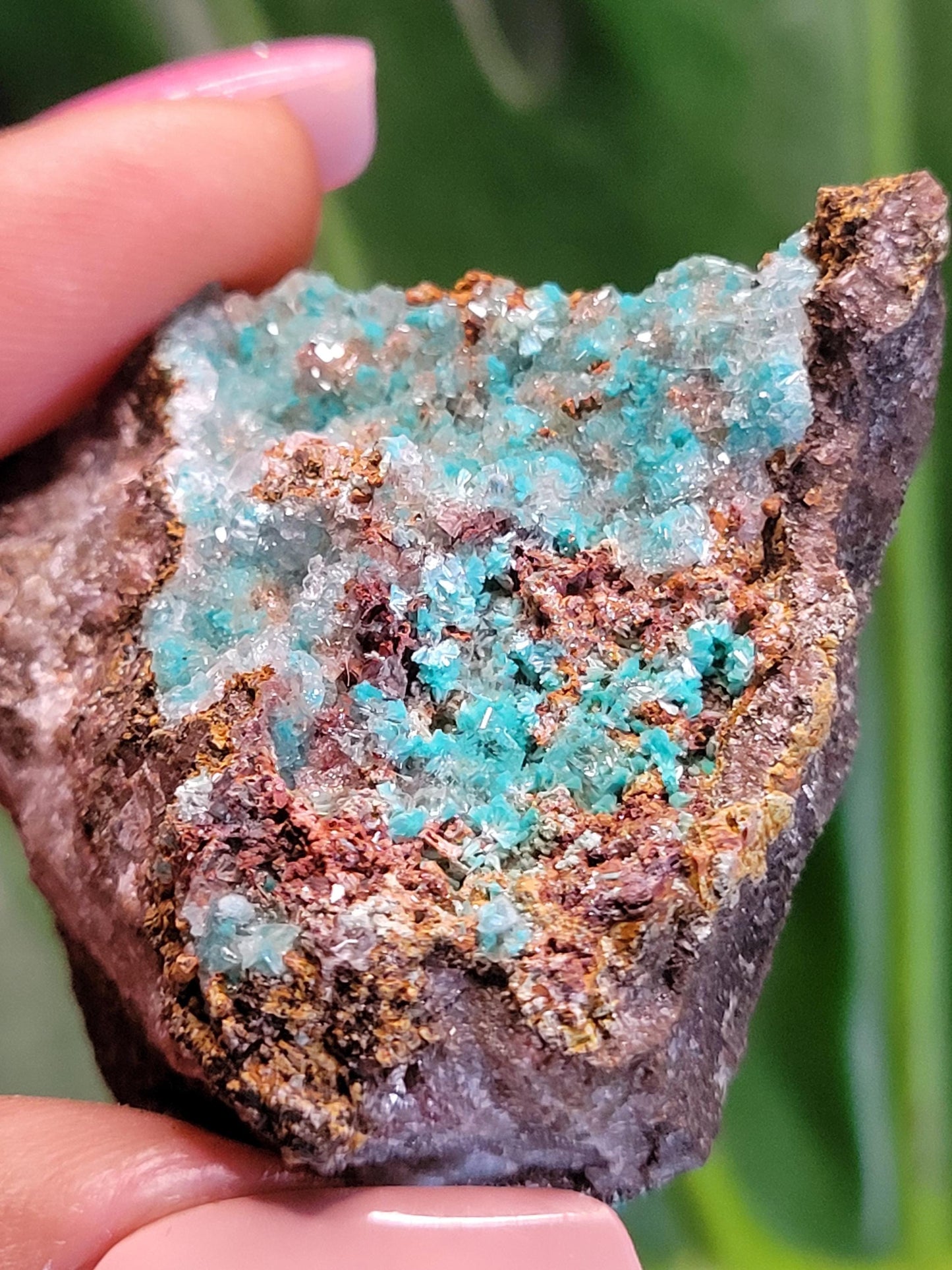 Crystalized Malachite Specimen in Display Case-Collector Birthday Christmas Gift Ideas-Strength and Abundance Energy-Green-57g