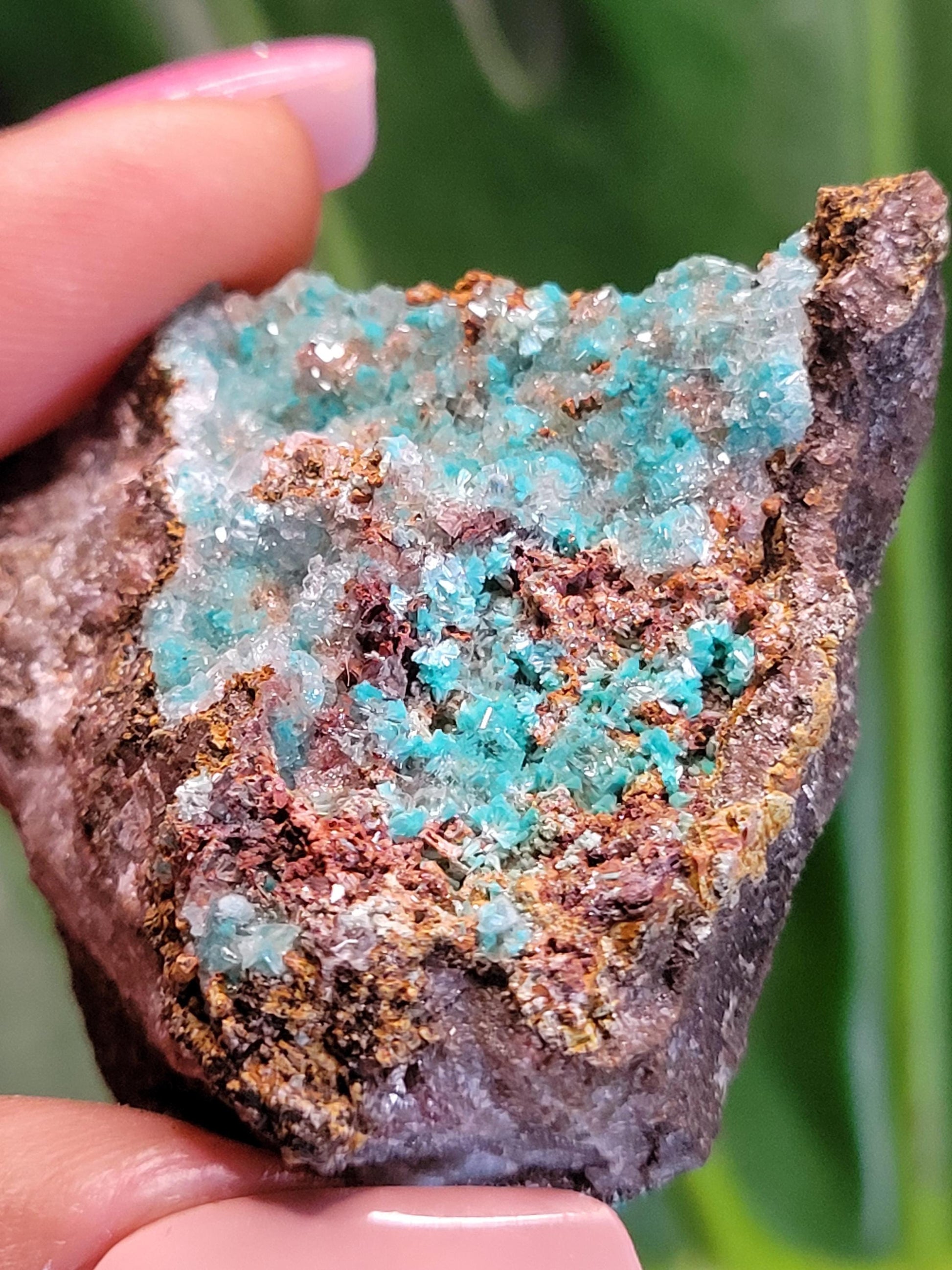 Crystalized Malachite Specimen in Display Case-Collector Birthday Christmas Gift Ideas-Strength and Abundance Energy-Green-57g