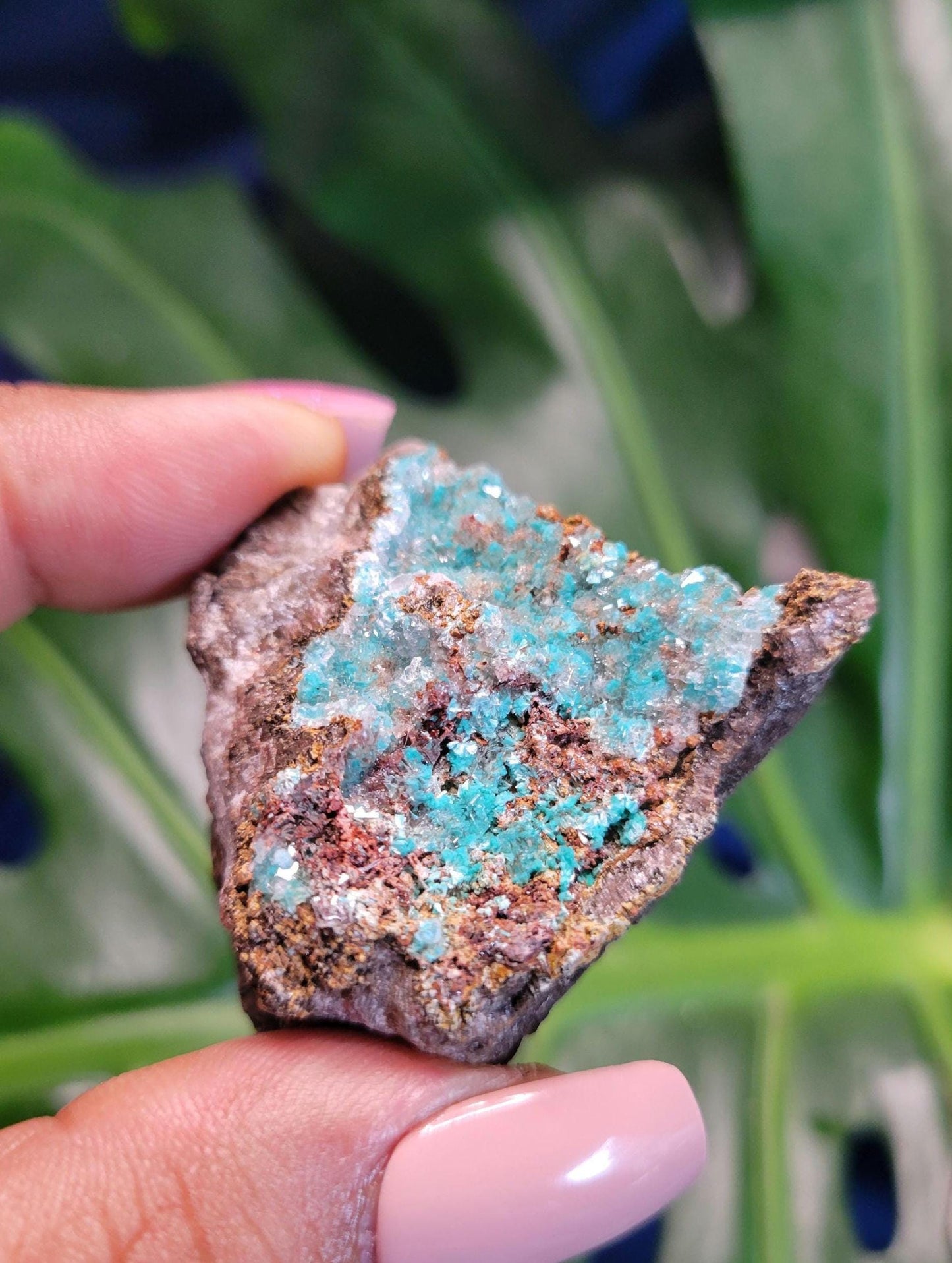 Crystalized Malachite Specimen in Display Case-Collector Birthday Christmas Gift Ideas-Strength and Abundance Energy-Green-57g