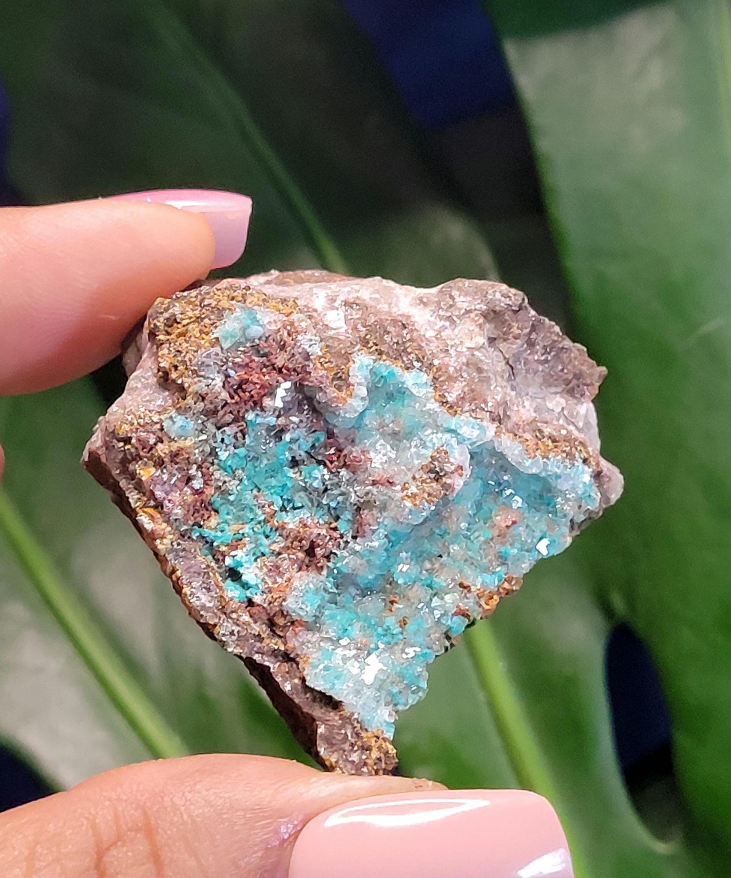 Crystalized Malachite Specimen in Display Case-Collector Birthday Christmas Gift Ideas-Strength and Abundance Energy-Green-57g
