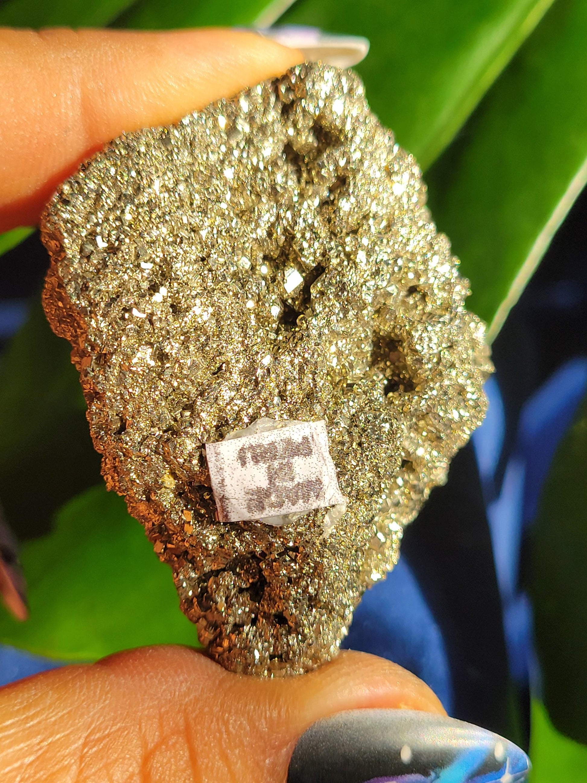 Beautiful Freeforms of Pyrite from Peru - Your Pick - Crystal Collector Christmas Birthday Gift Ideas - Gold Love - 184 grams