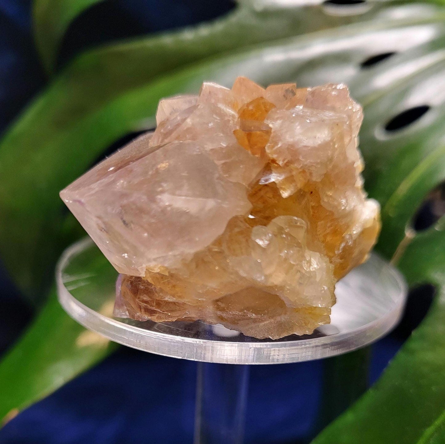 Stunning Spirit Quartz Cluster from South Africa - Crown Chakra Meditation - Birthday Collectors Christmas Party Gift Ideas - Lavender - 86g