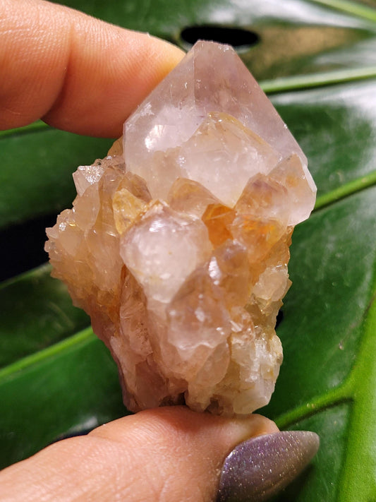 Stunning Spirit Quartz Cluster from South Africa - Crown Chakra Meditation - Birthday Collectors Christmas Party Gift Ideas - Lavender - 86g