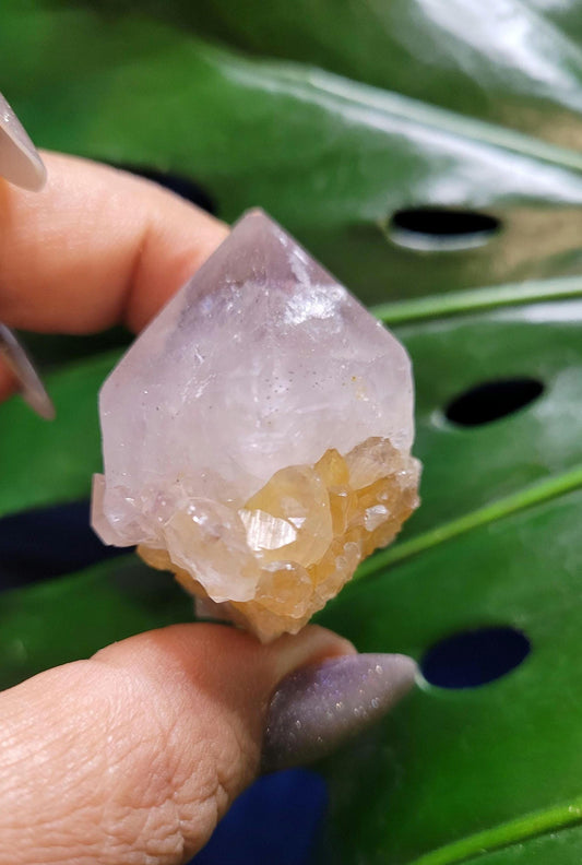 Stunning Spirit Quartz Cluster from South Africa - Crown Chakra Meditation - Birthday Collectors Christmas Party Gift Ideas - Lavender - 50g