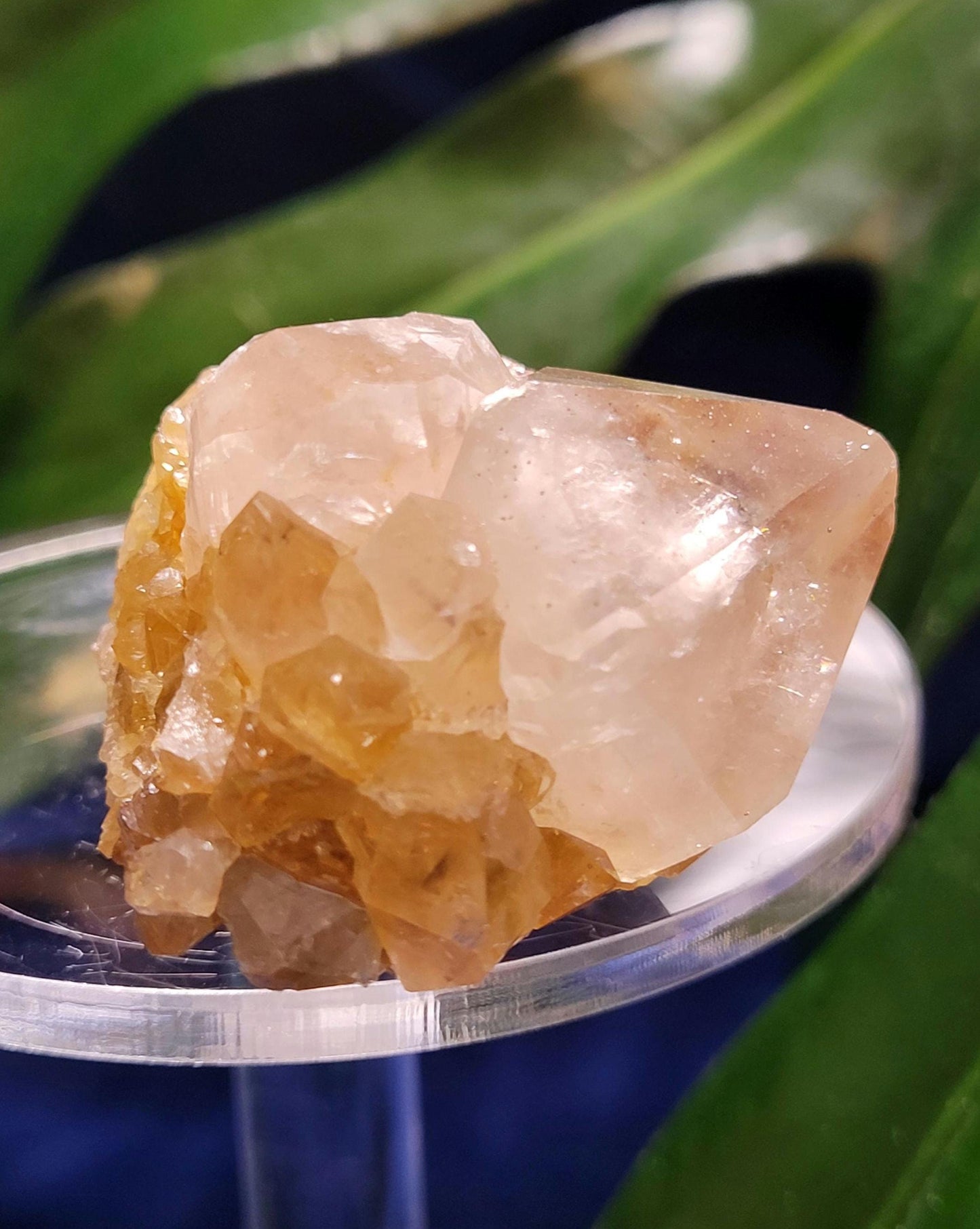 Stunning Spirit Quartz Cluster from South Africa - Crown Chakra Meditation - Birthday Collectors Christmas Party Gift Ideas - Lavender - 49g
