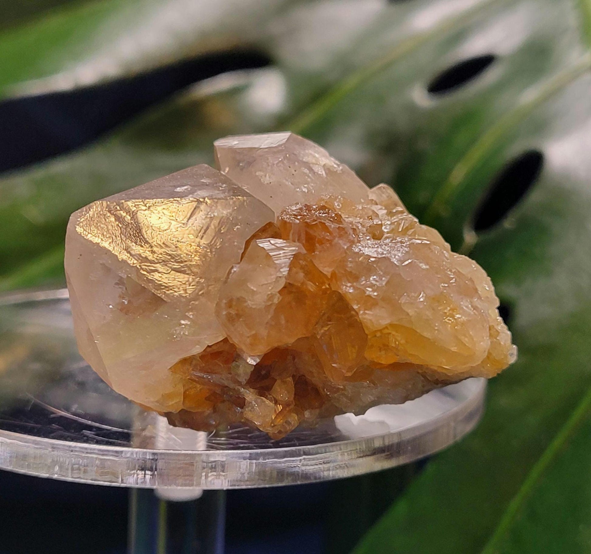 Stunning Spirit Quartz Cluster from South Africa - Crown Chakra Meditation - Birthday Collectors Christmas Party Gift Ideas - Lavender - 49g