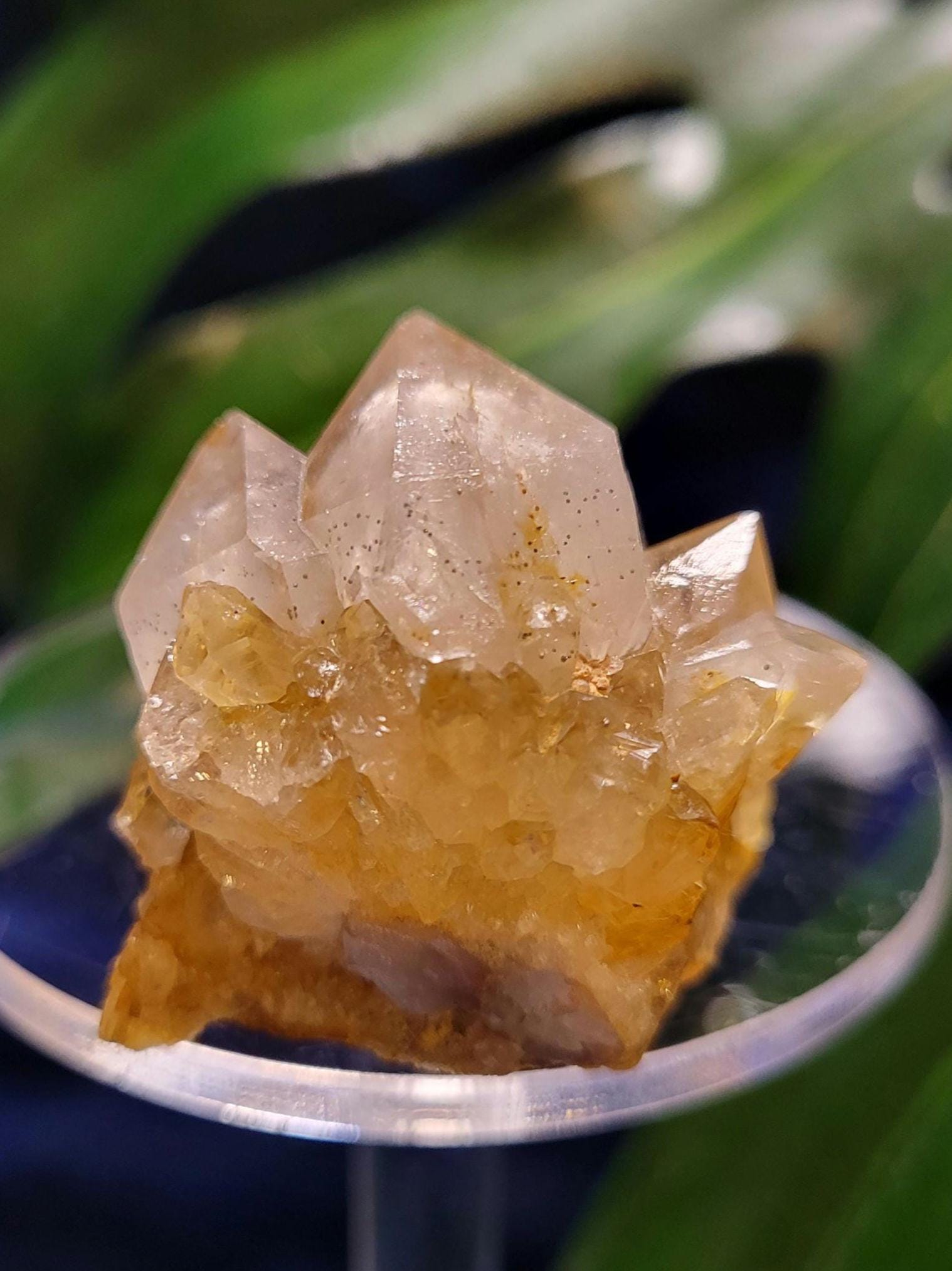 Stunning Spirit Quartz Cluster from South Africa - Crown Chakra Meditation - Birthday Collectors Christmas Party Gift Ideas - Lavender - 48g