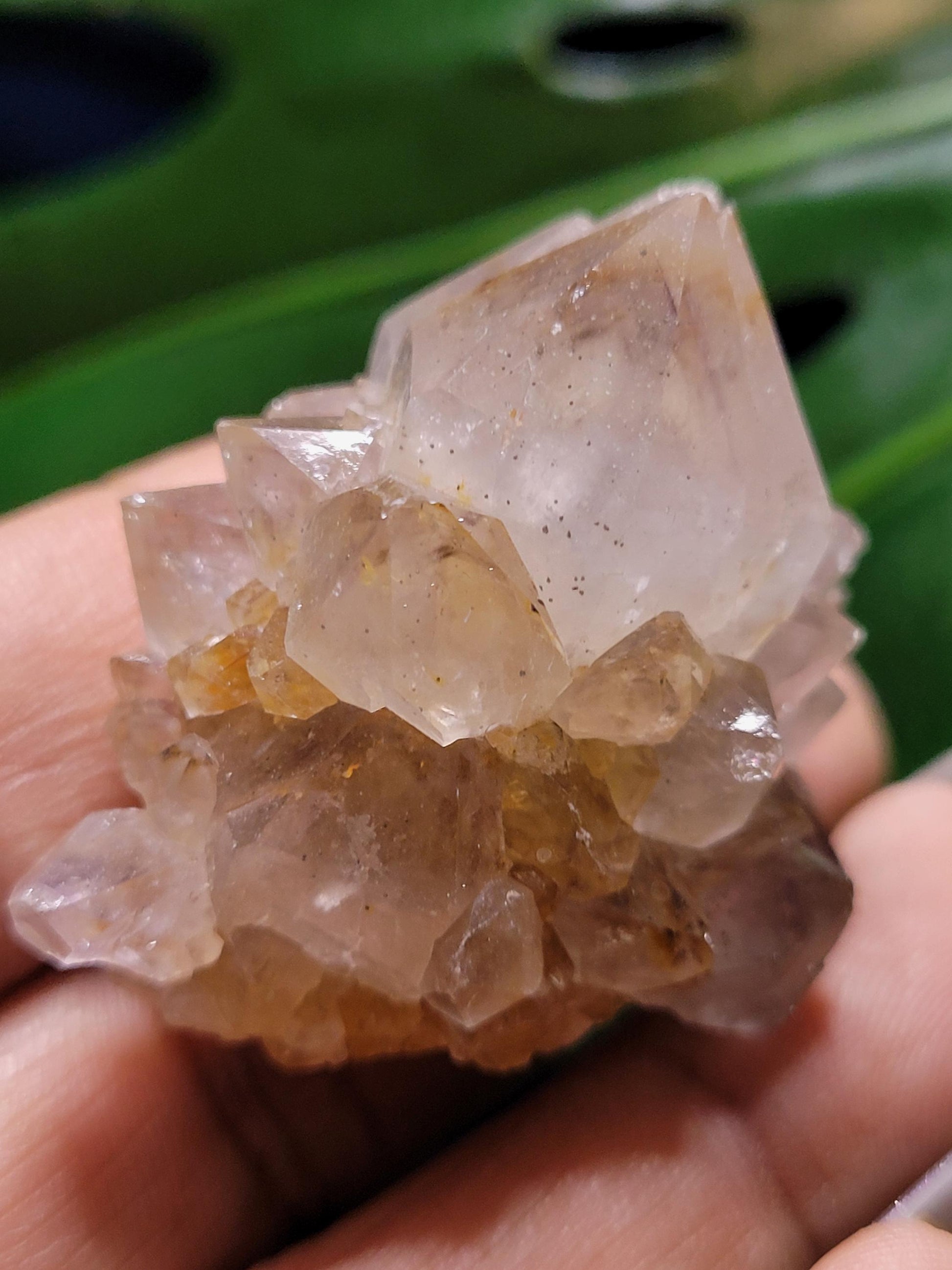 Stunning Spirit Quartz Cluster from South Africa - Crown Chakra Meditation - Birthday Collectors Christmas Party Gift Ideas - Lavender - 45g