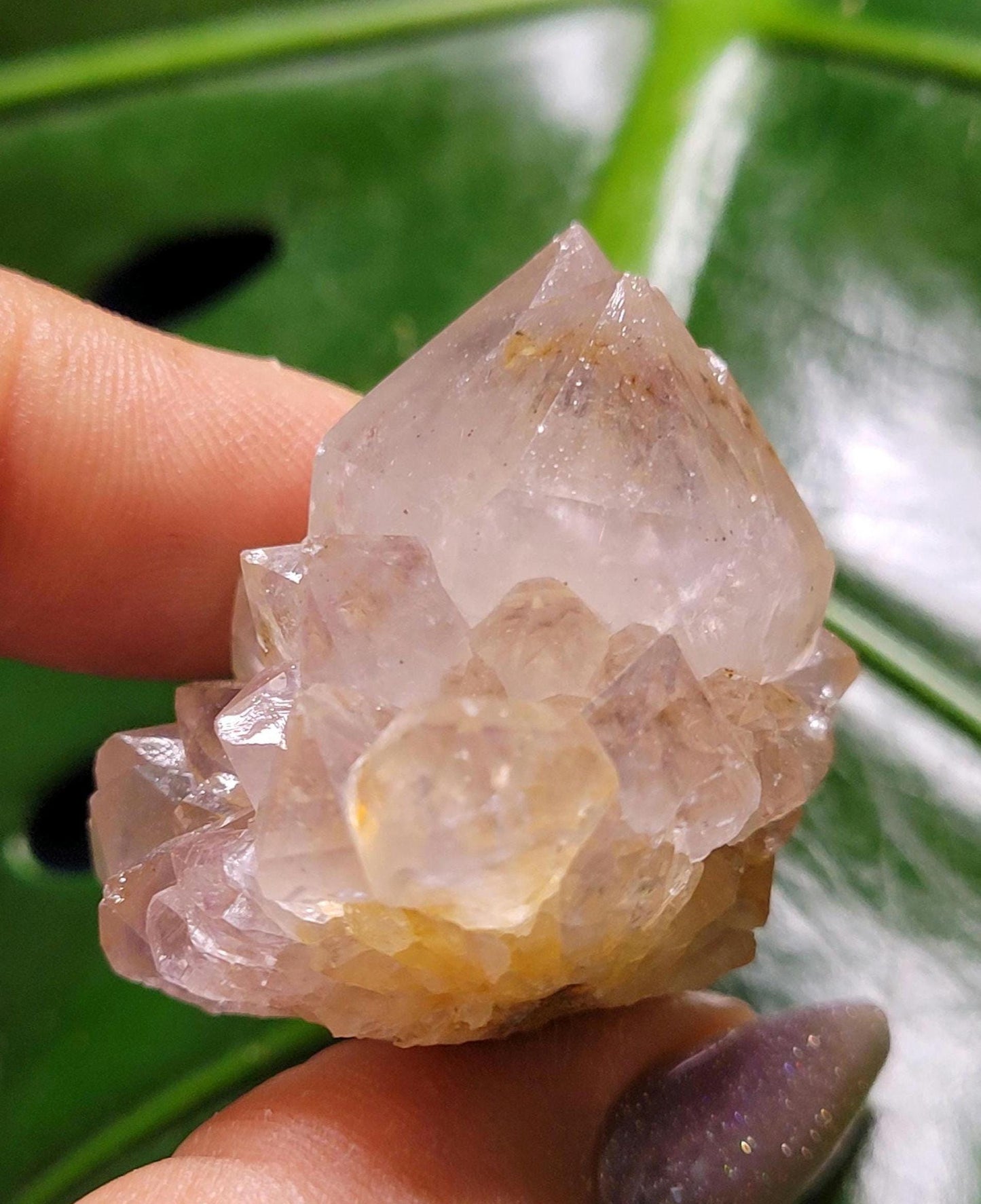 Stunning Spirit Quartz Cluster from South Africa - Crown Chakra Meditation - Birthday Collectors Christmas Party Gift Ideas - Lavender - 45g