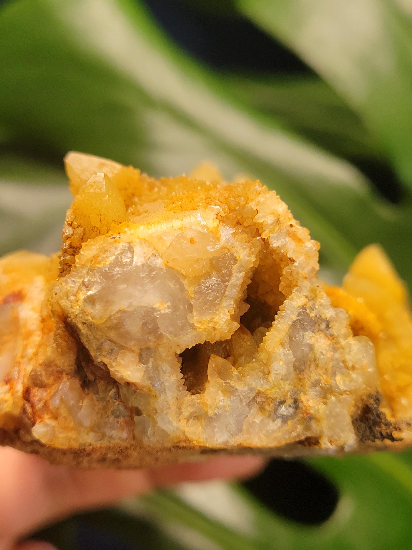Limonite Golden Quartz Cluster from South Africa | Stunning, Rare and Uncommon | Spirit Fairy Quartz | Meditation | Gift Ideas | Gold | 350g