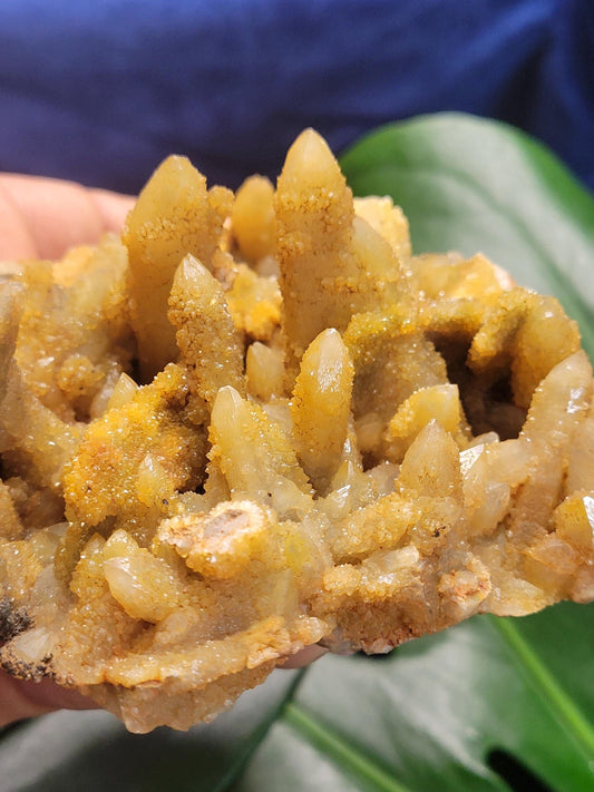 Limonite Golden Quartz Cluster from South Africa | Stunning, Rare and Uncommon | Spirit Fairy Quartz | Meditation | Gift Ideas | Gold | 350g