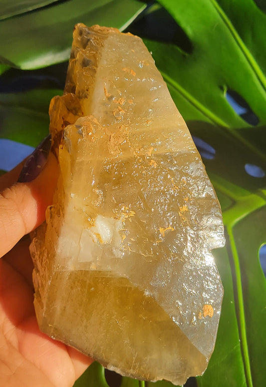 Dogtooth Calcite | Stunning Raw Specimen | Crystal Collectors | Home Decor | Gift | Golden & Gray | 743g / 1.7lbs | Solar Plexus Chakra