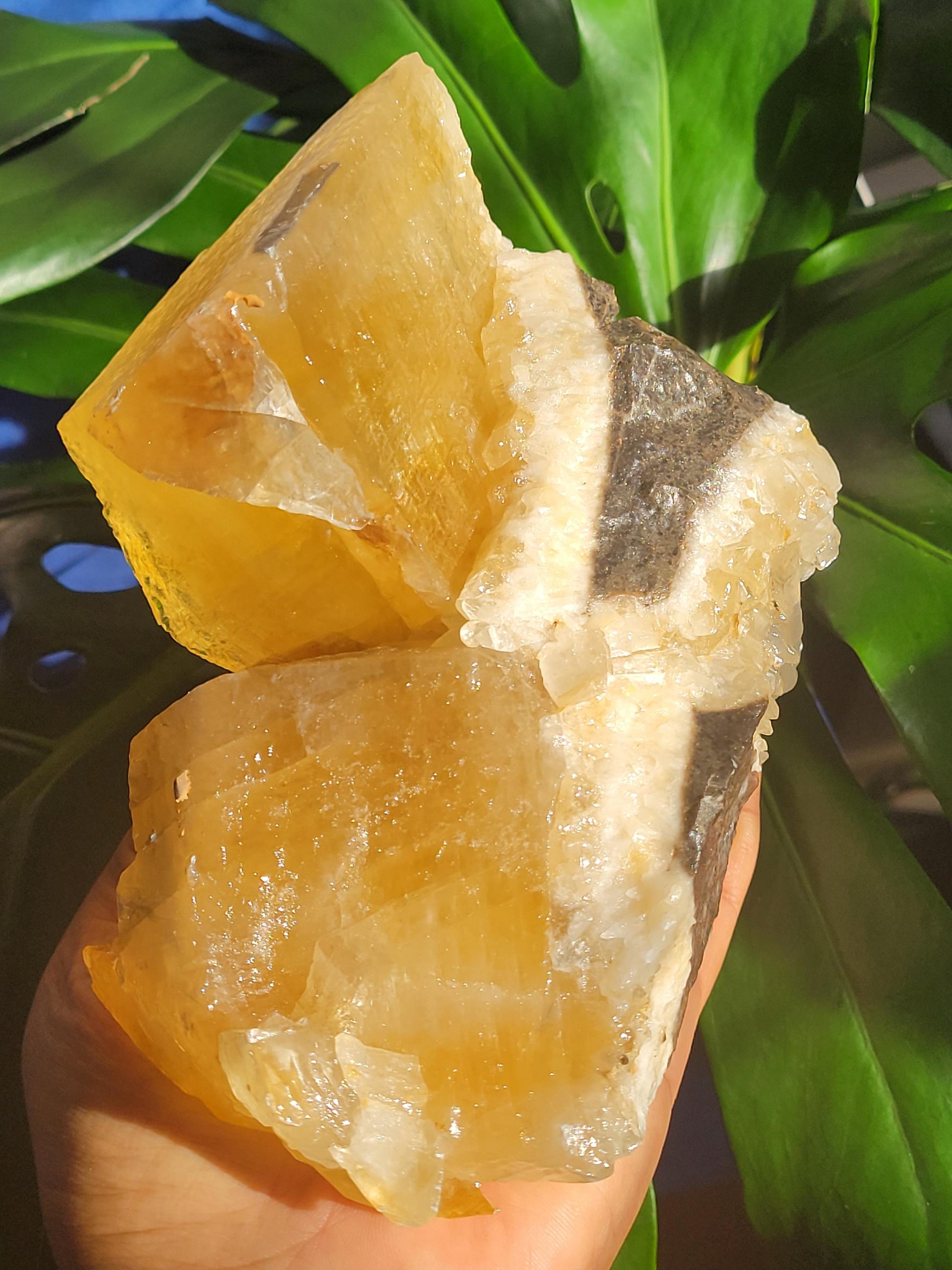 Stunning and Unique Dogtooth Calcite Specimen from Morocco - Crystal Collectors piece - Home Decor - Gift idea - Gorgeously Golden - 3.3lbs