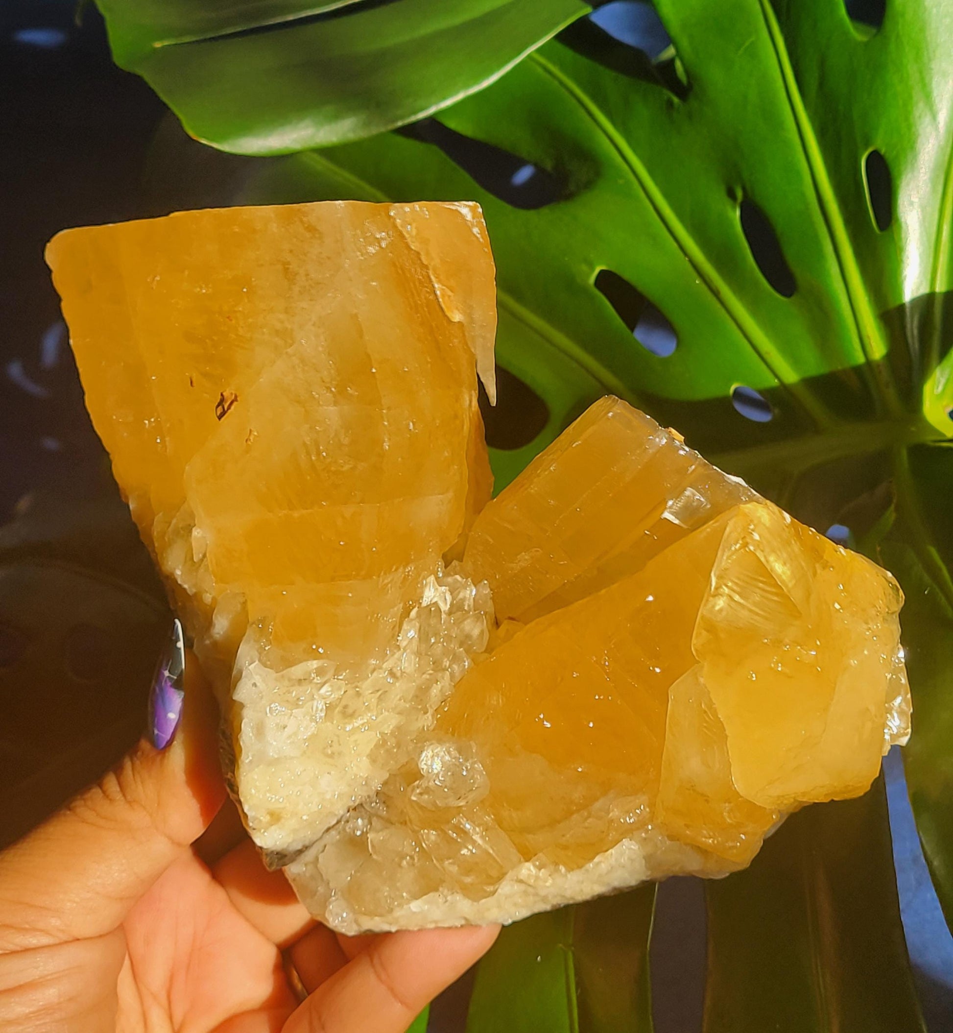 Stunning and Unique Dogtooth Calcite Specimen from Morocco - Crystal Collectors piece - Home Decor - Gift idea - Gorgeously Golden - 3.3lbs